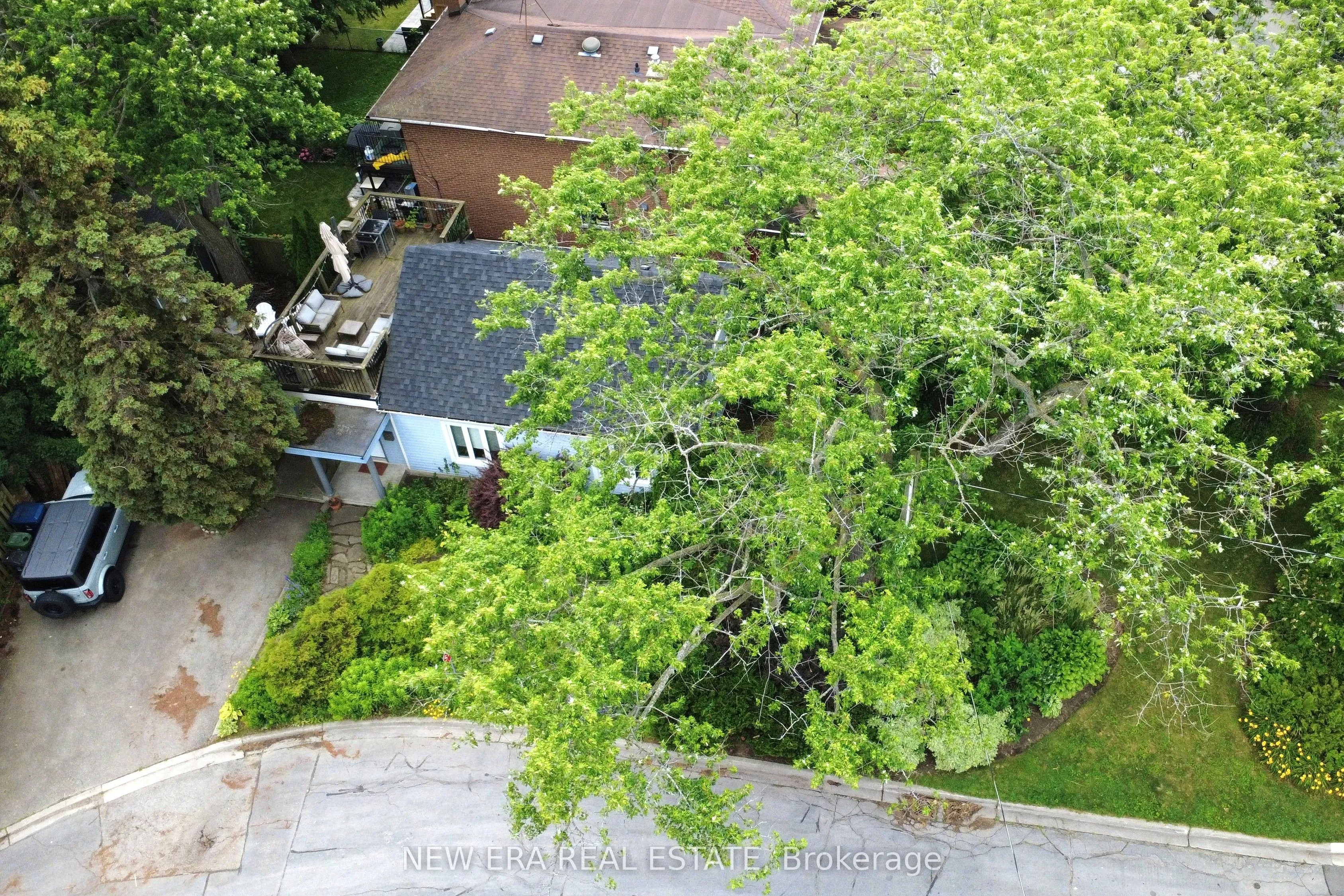 Detached Home For Sale | W13527996