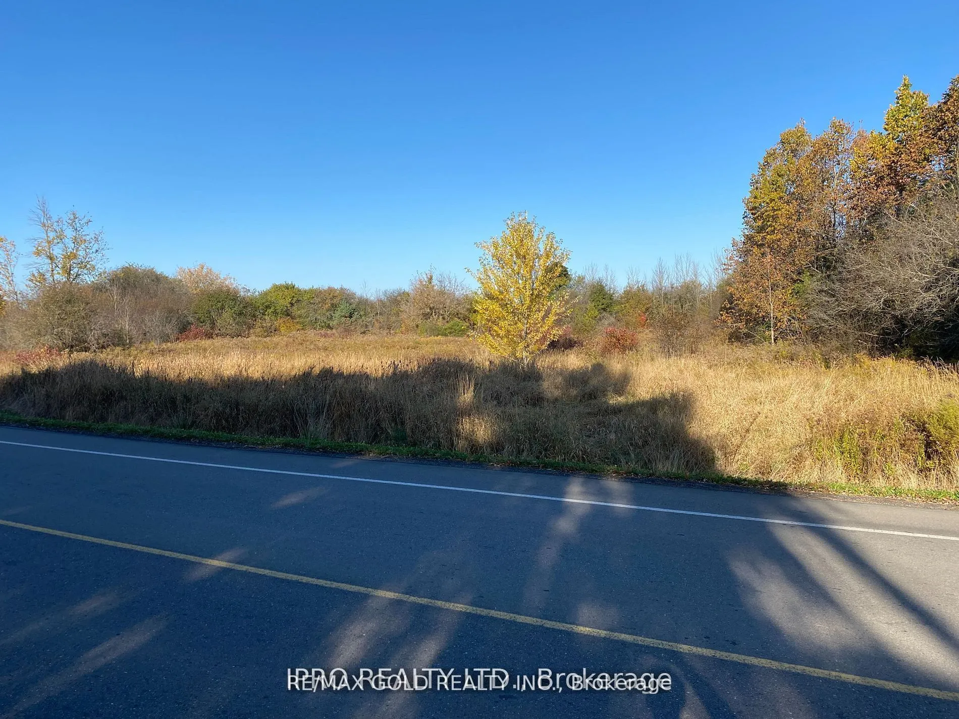 Land For Sale | W13532926