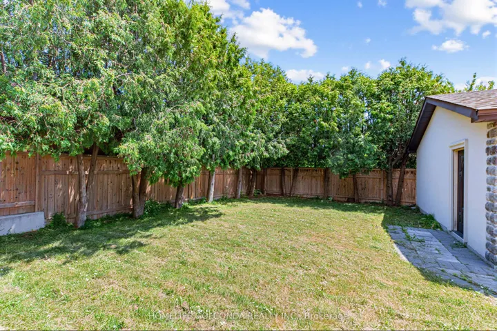67 Mcadam Avenue, Toronto W04, ON M6A 1S6