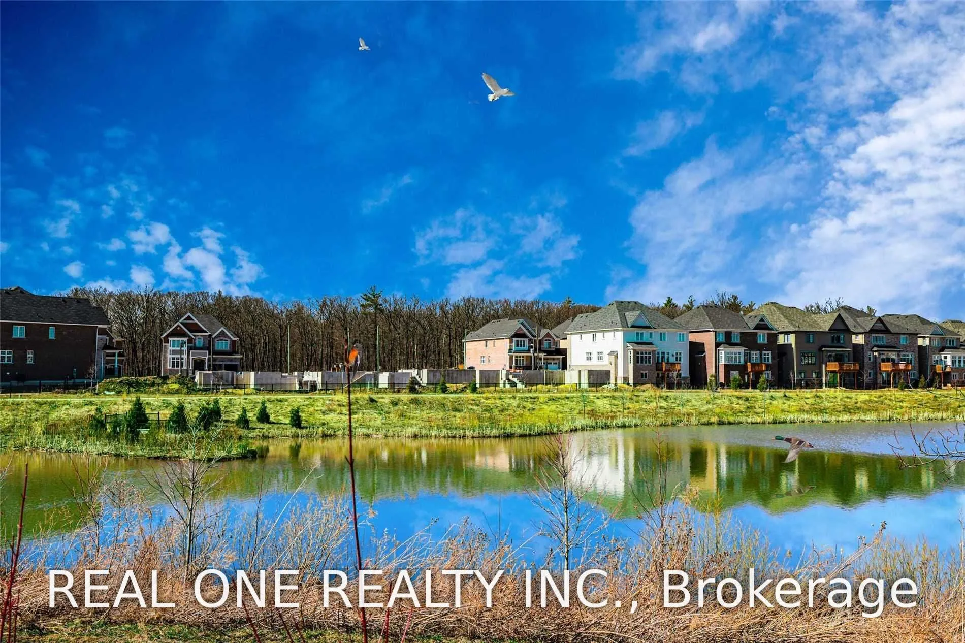 Detached Home For Lease | W13554278