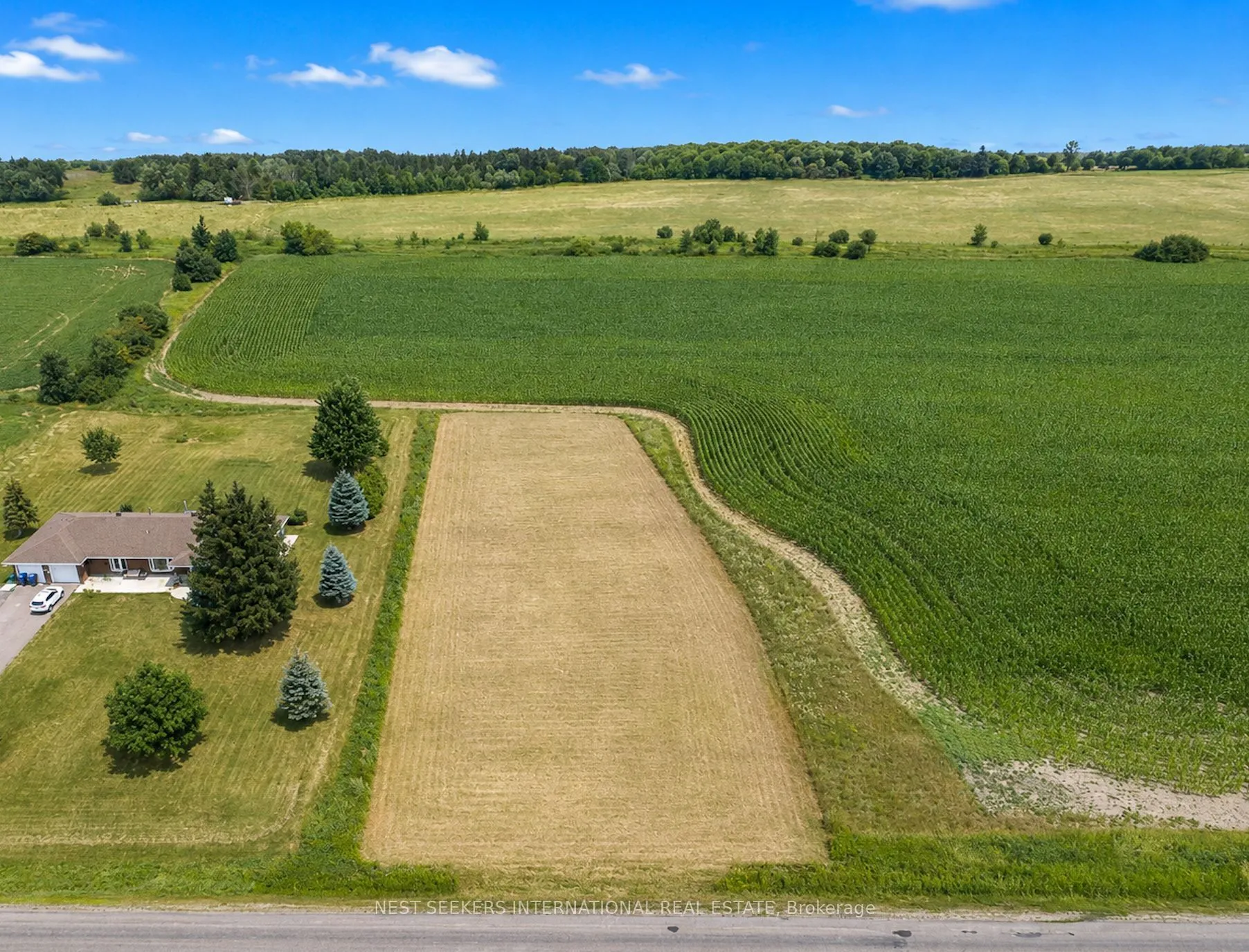 Vacant Land For Sale | W13613864