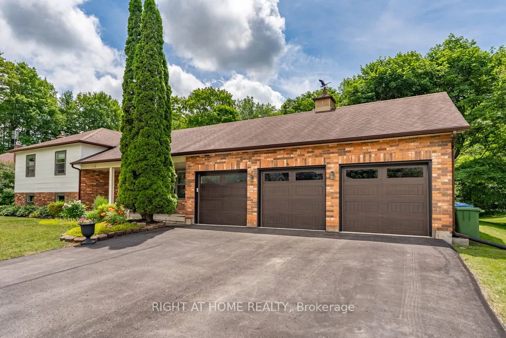 Detached Home For Sale | W13694910