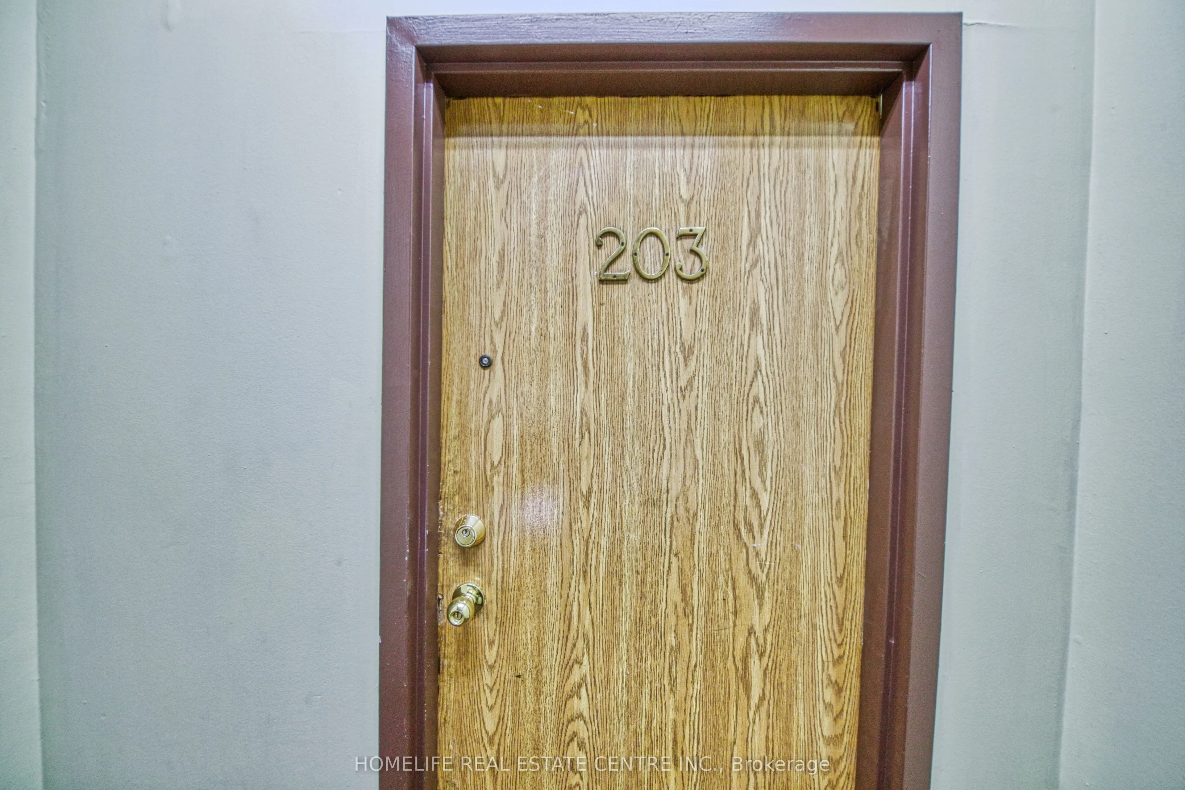 Multiplex For Lease | W13733470