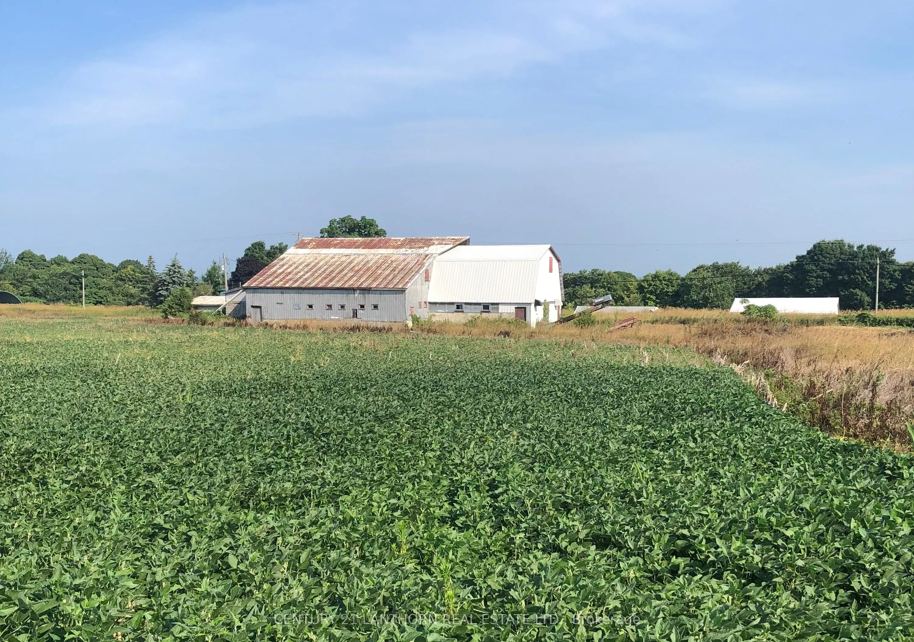 Vacant Land For Sale | X12037215
