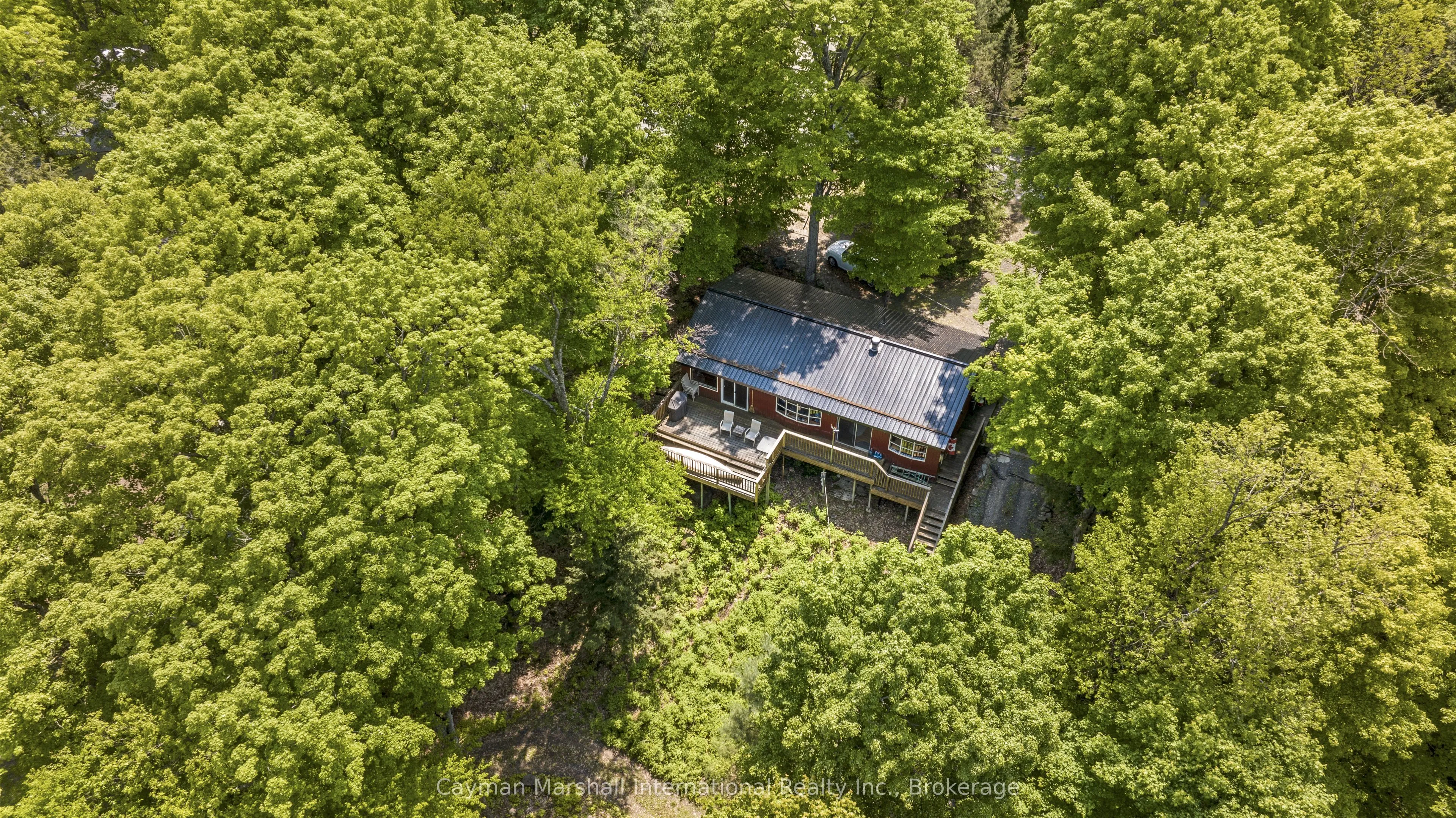 Detached Home For Sale | X12064037