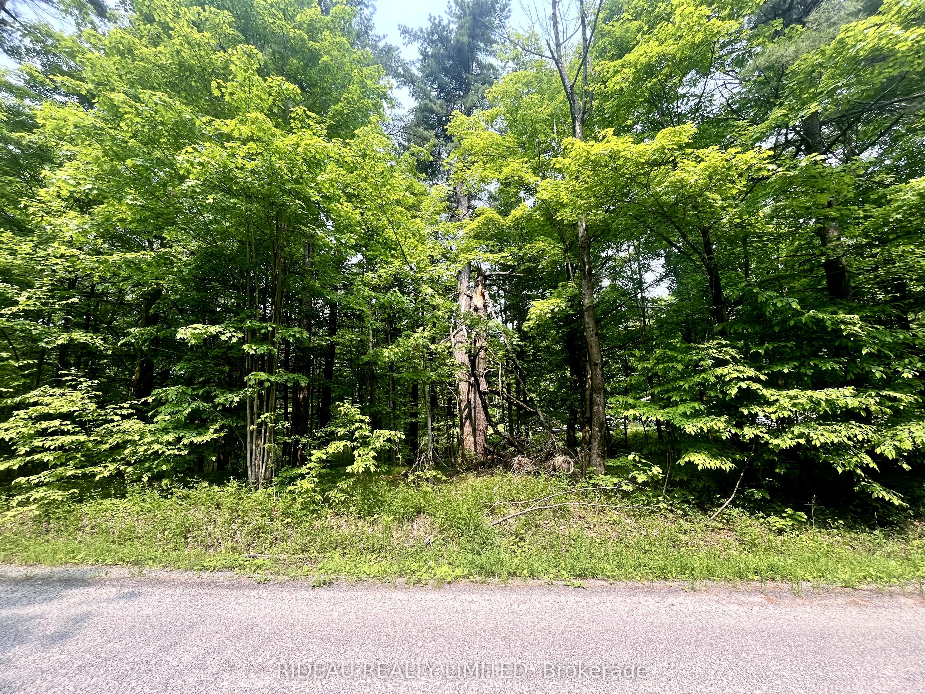Vacant Land For Sale | X12065535