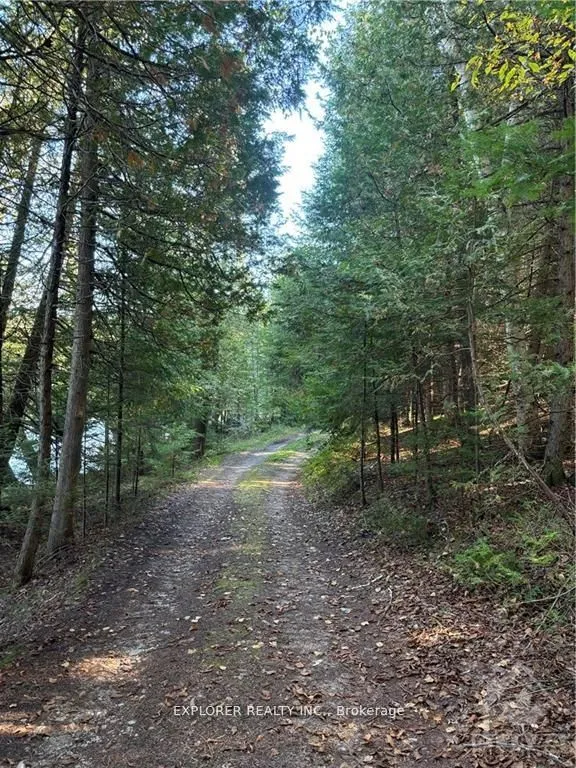 Vacant Land For Sale | X12080220