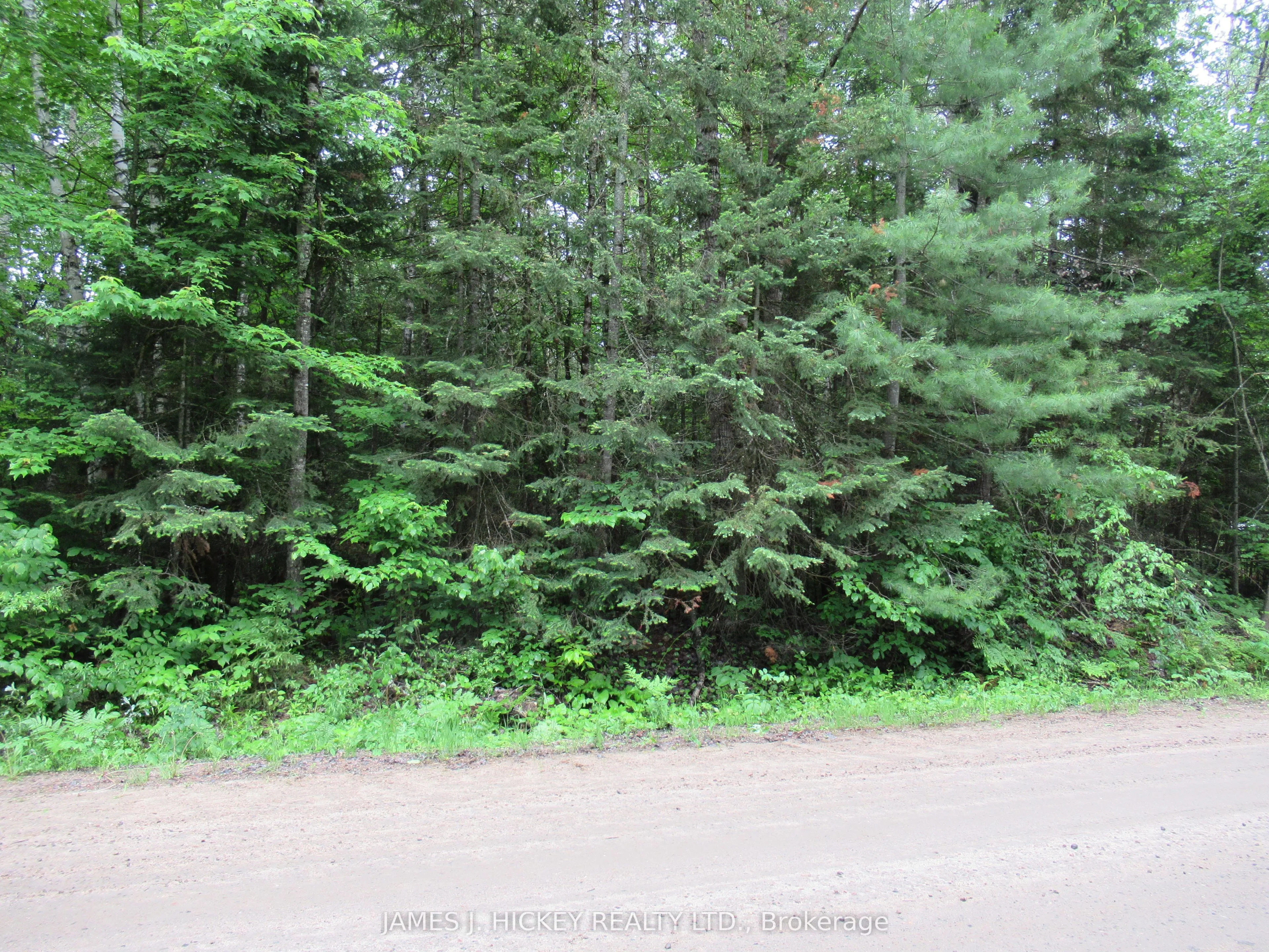 Vacant Land For Sale | X12232283