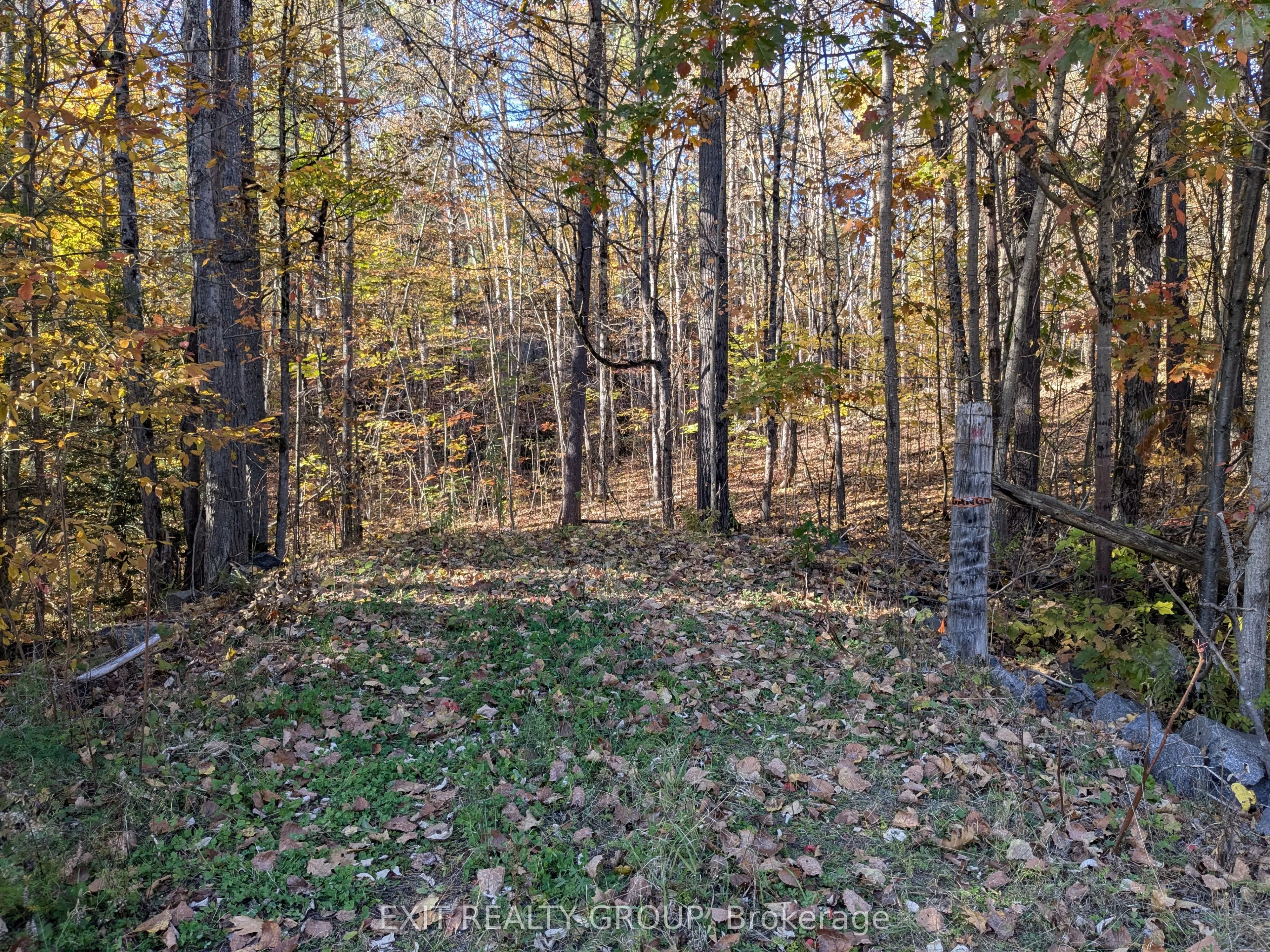 Vacant Land For Sale | X12244483