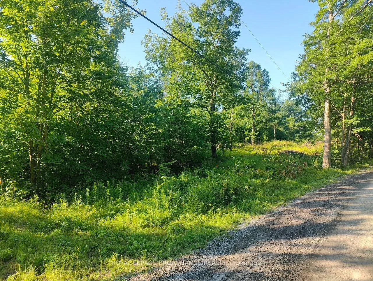 Vacant Land For Sale | X12247207