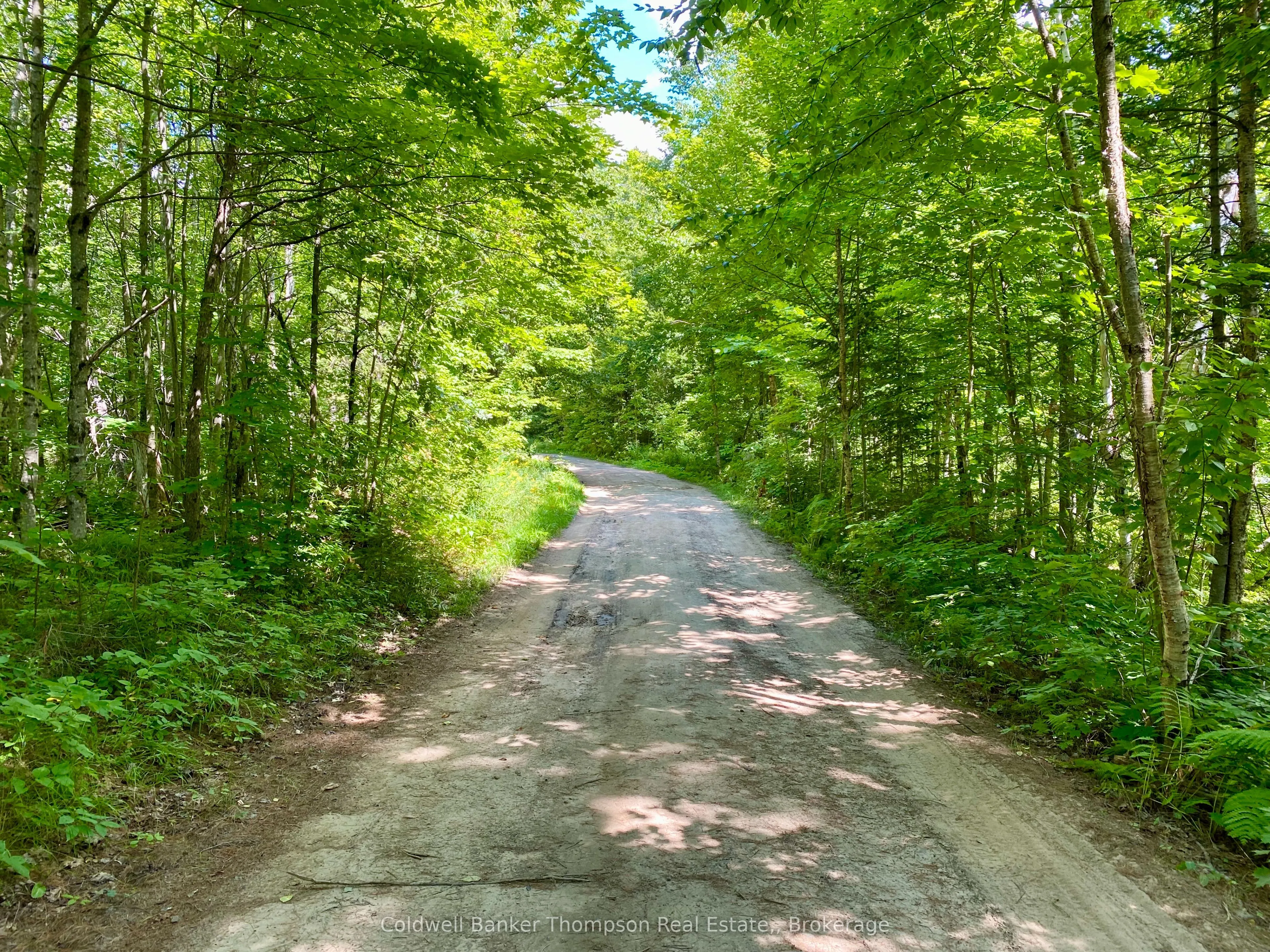 Vacant Land For Sale | X12261970