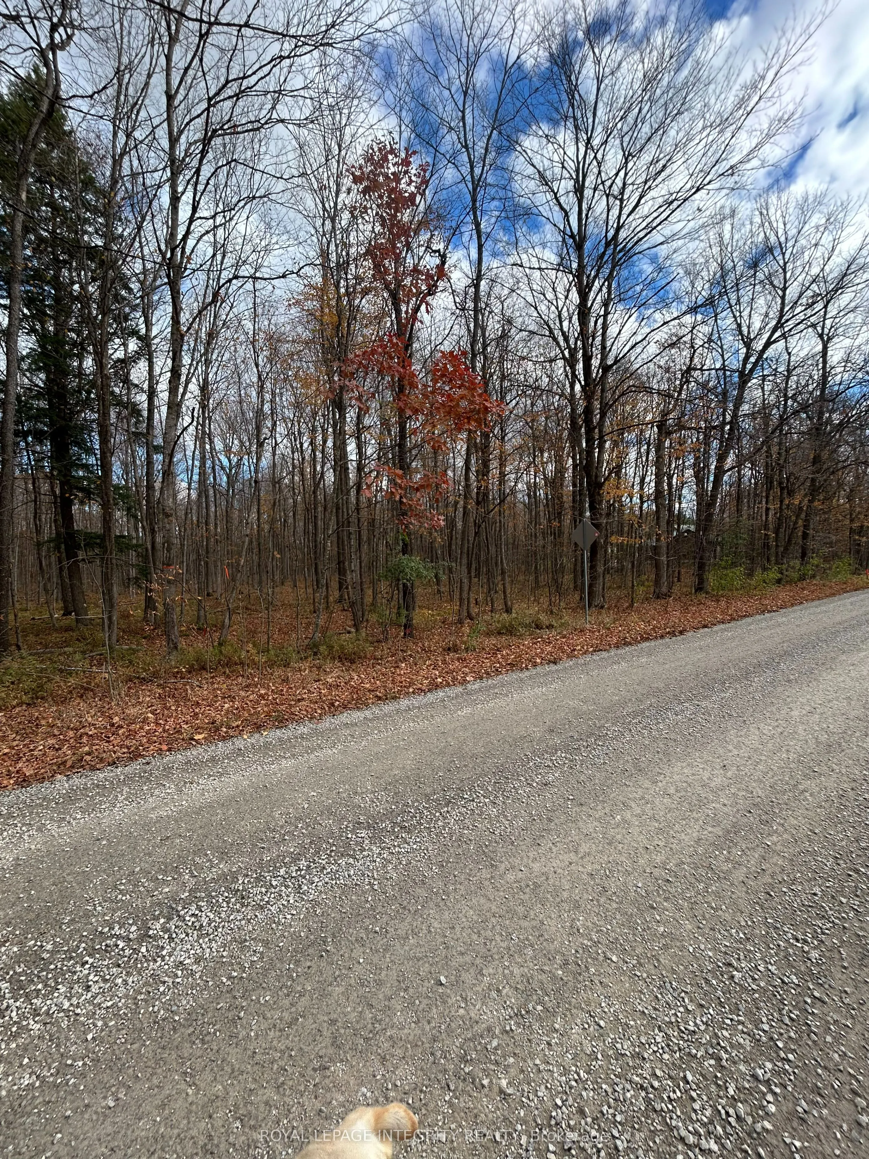 Vacant Land For Sale | X12263906