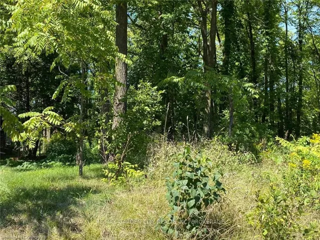 PT LT 3  Effingham  Street, Pelham, ON L2R 6P7