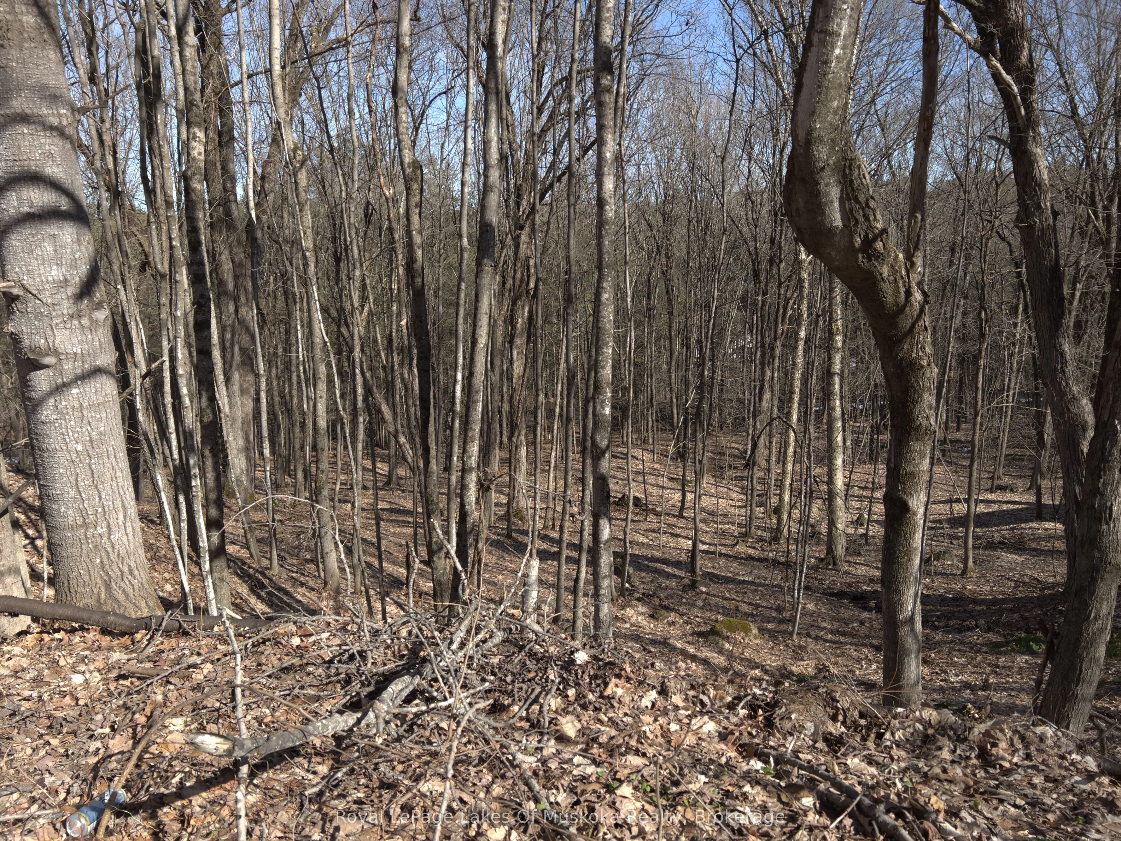 Vacant Land For Sale | X12298464