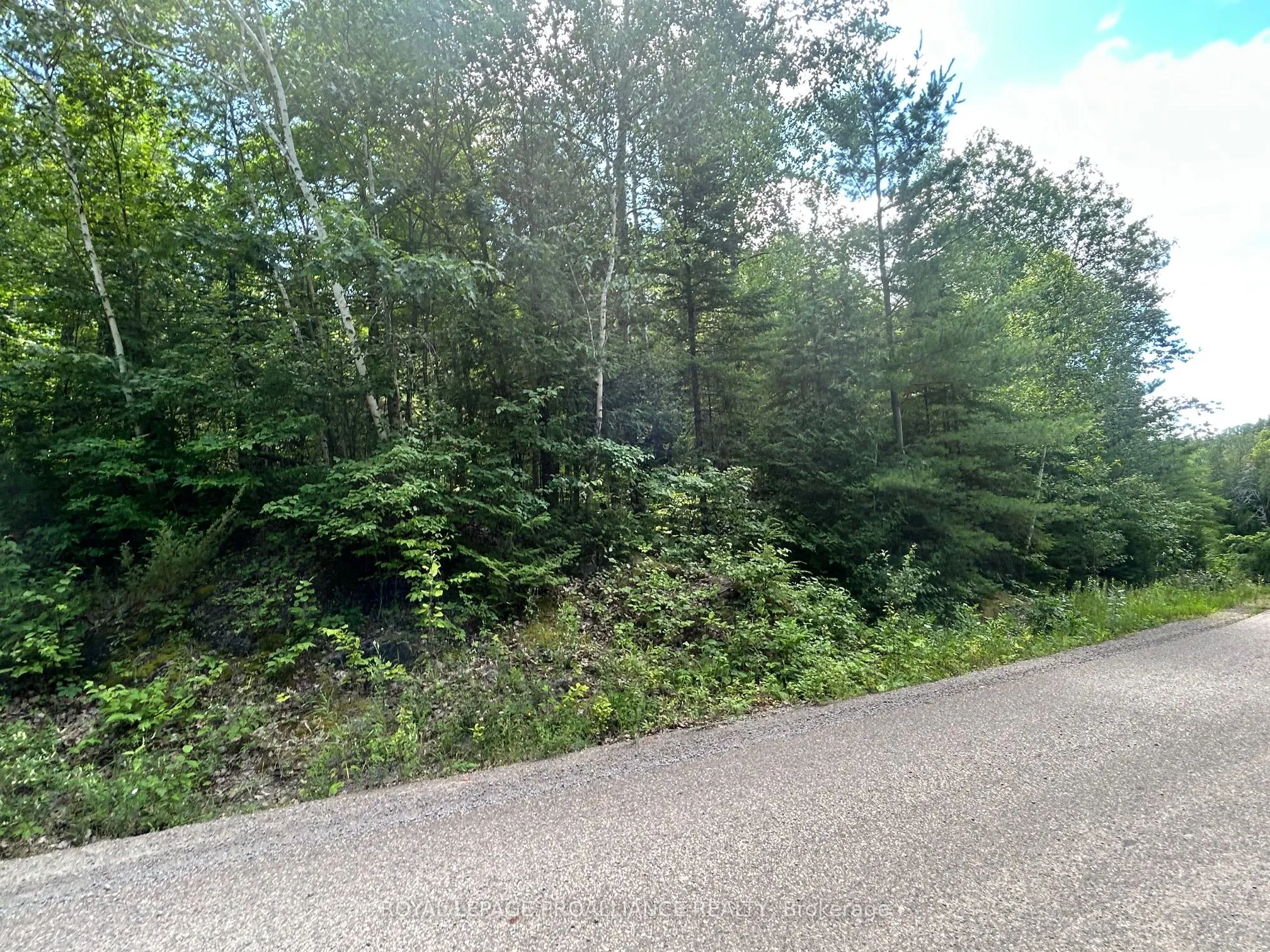 Vacant Land For Sale | X12300428