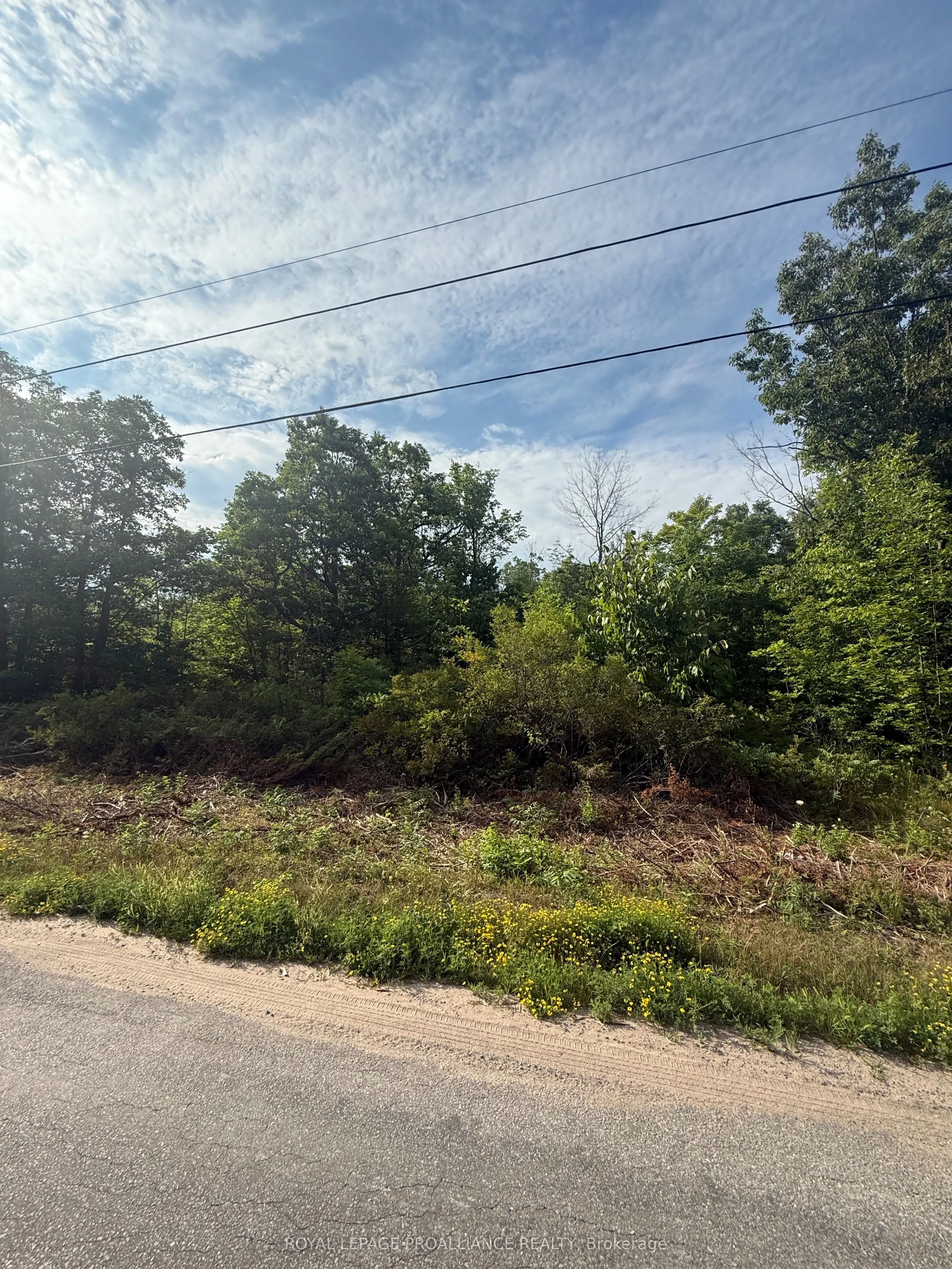 Vacant Land For Sale | X12314154