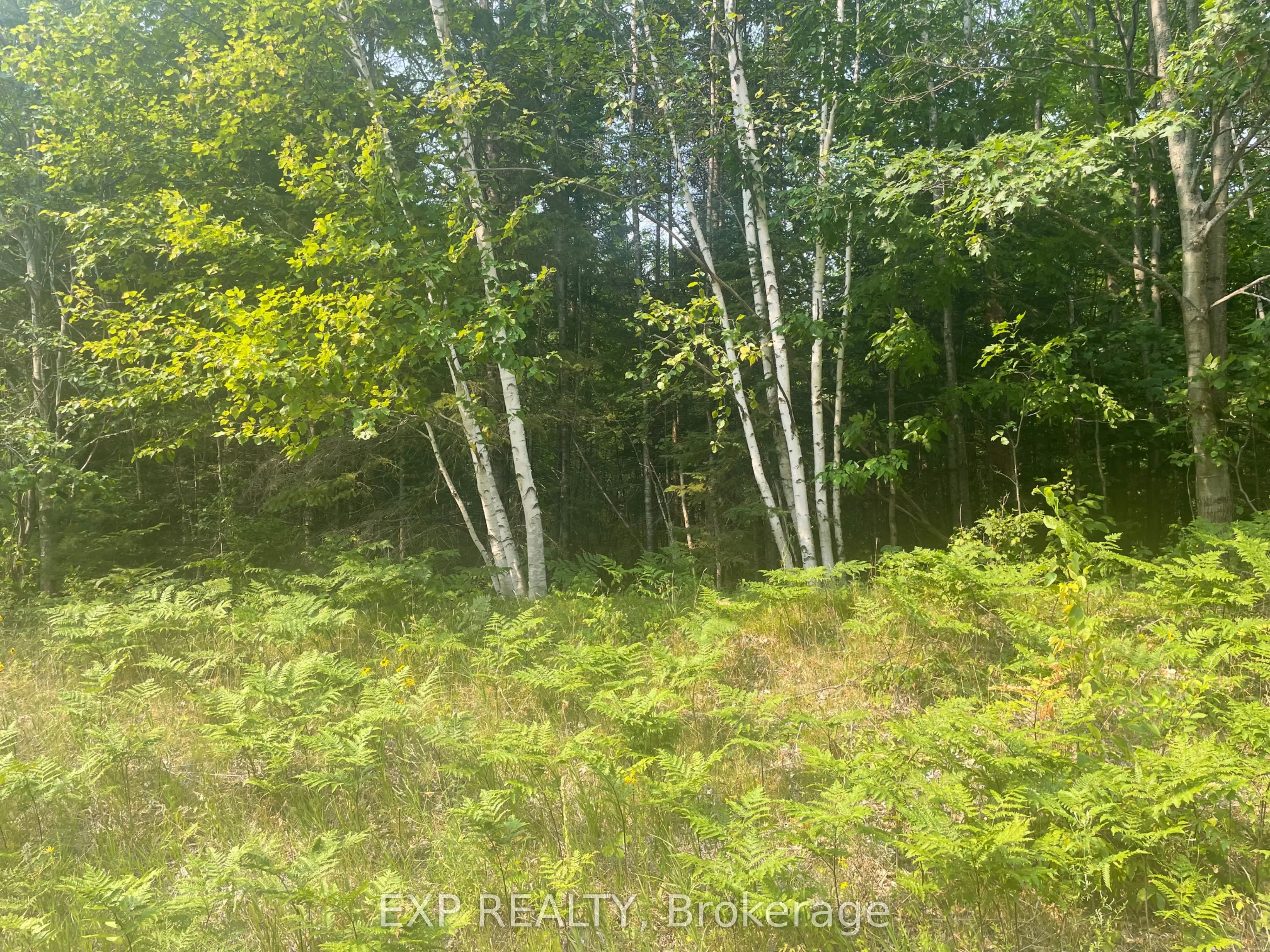 Vacant Land For Sale | X12323262