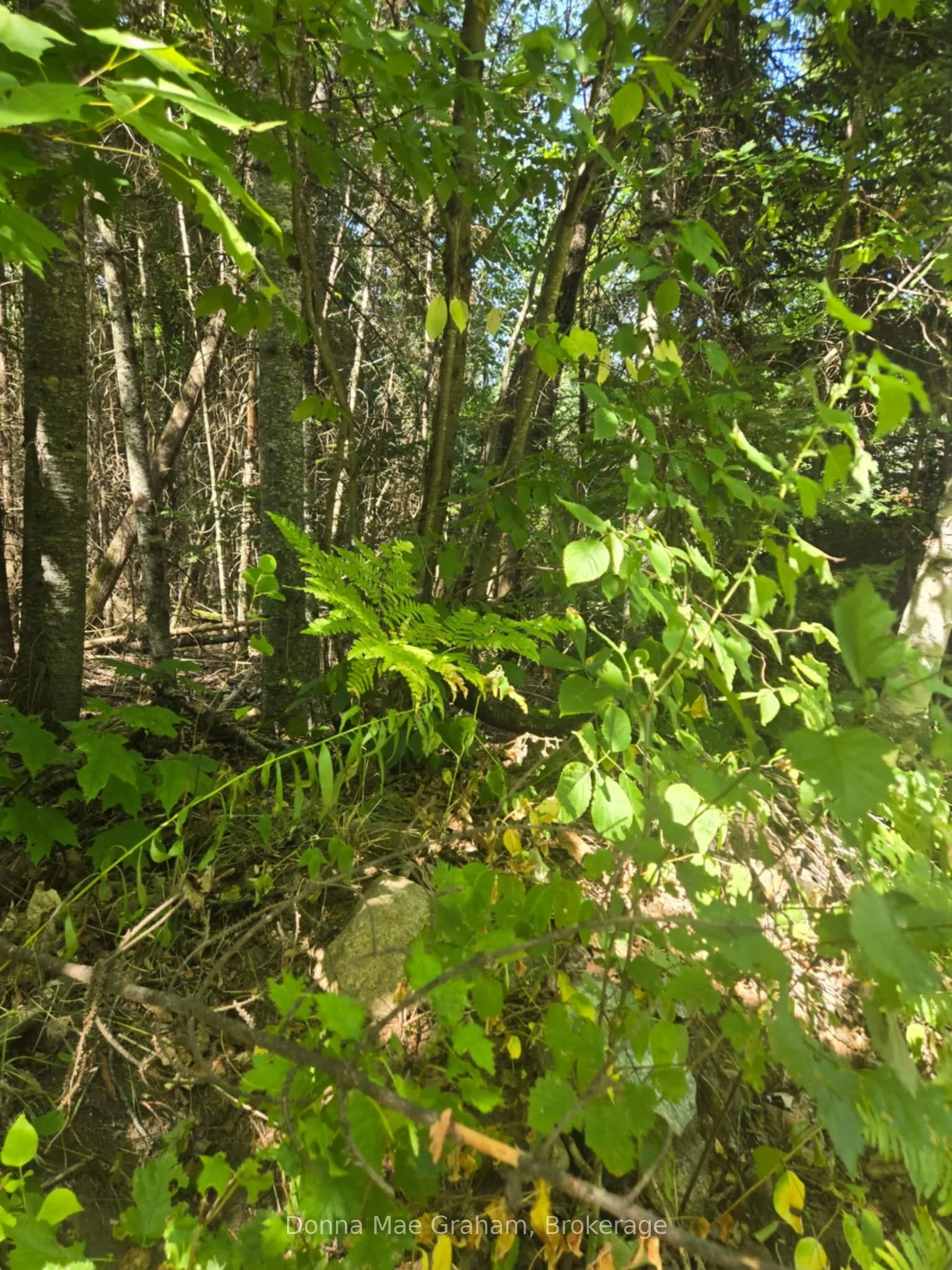 Vacant Land For Sale | X12339012