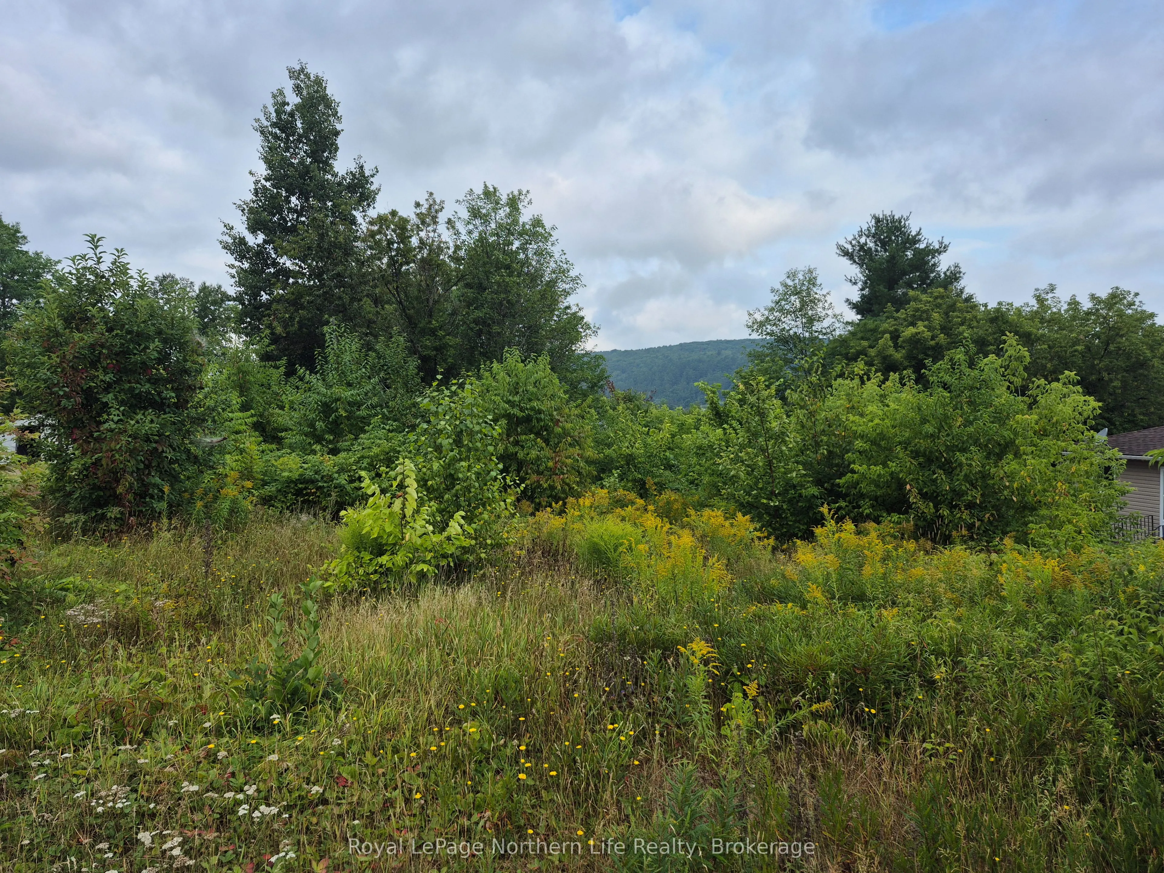 Vacant Land For Sale | X12339212