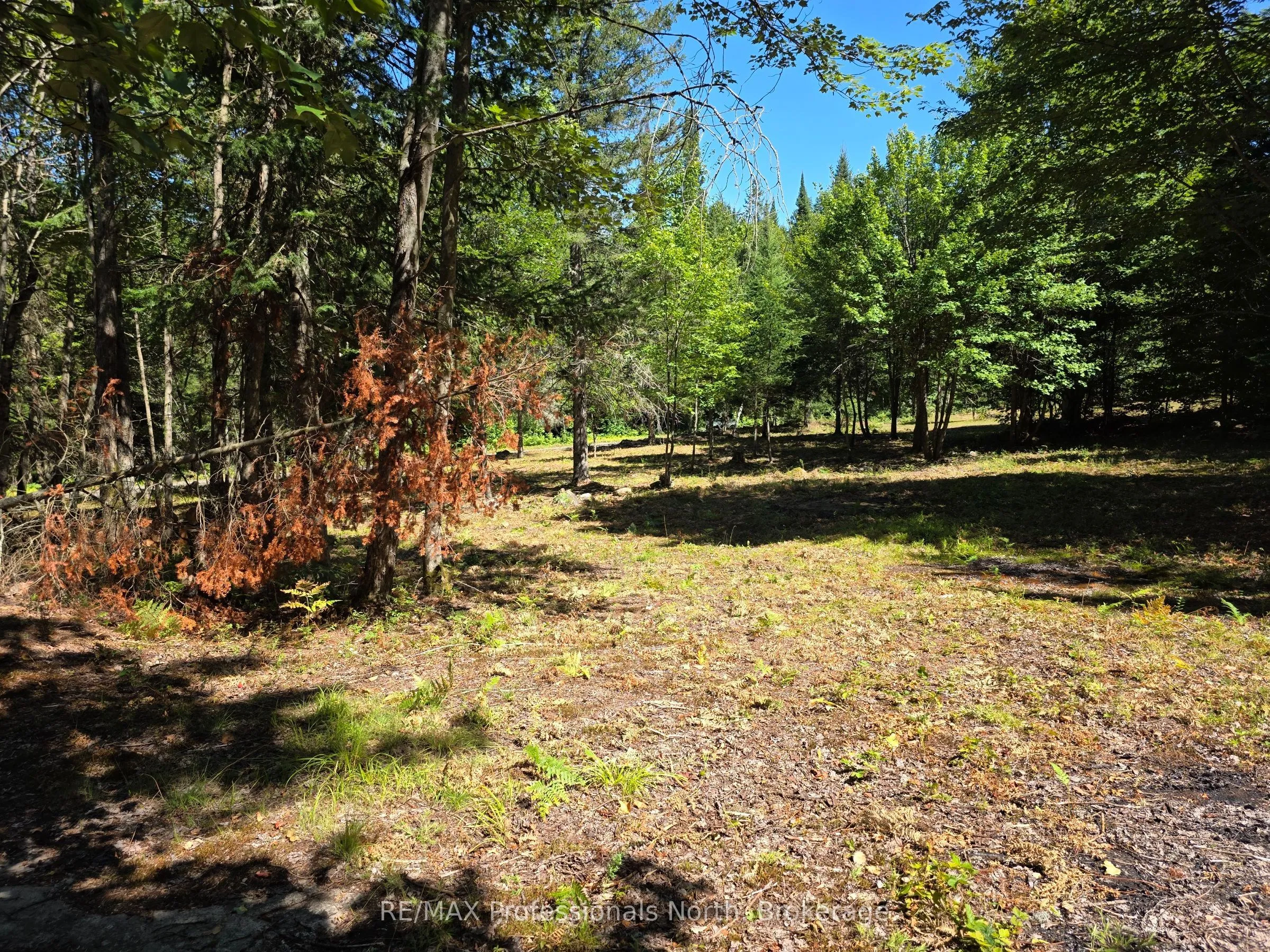 Vacant Land For Sale | X12350936