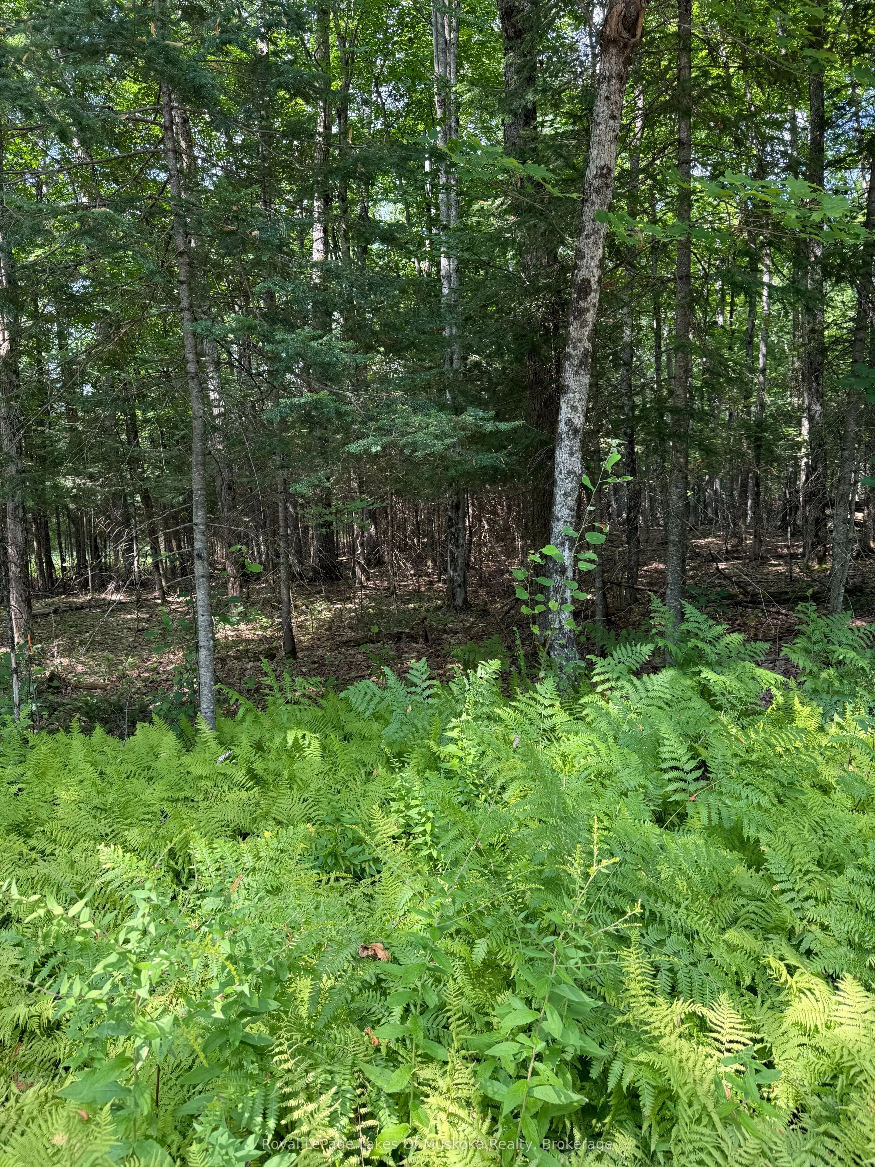 Vacant Land For Sale | X12387843