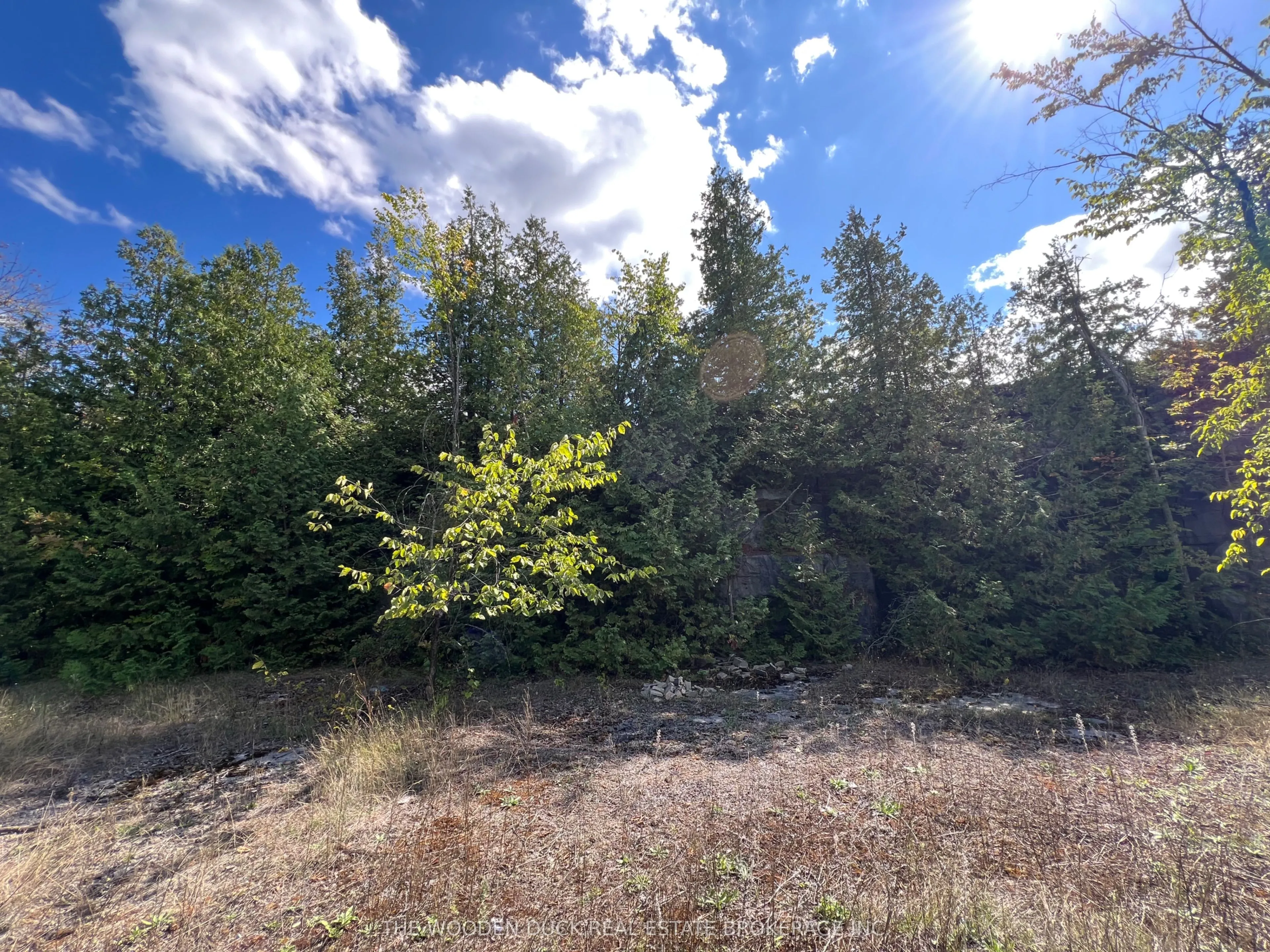 Vacant Land For Sale | X12390229