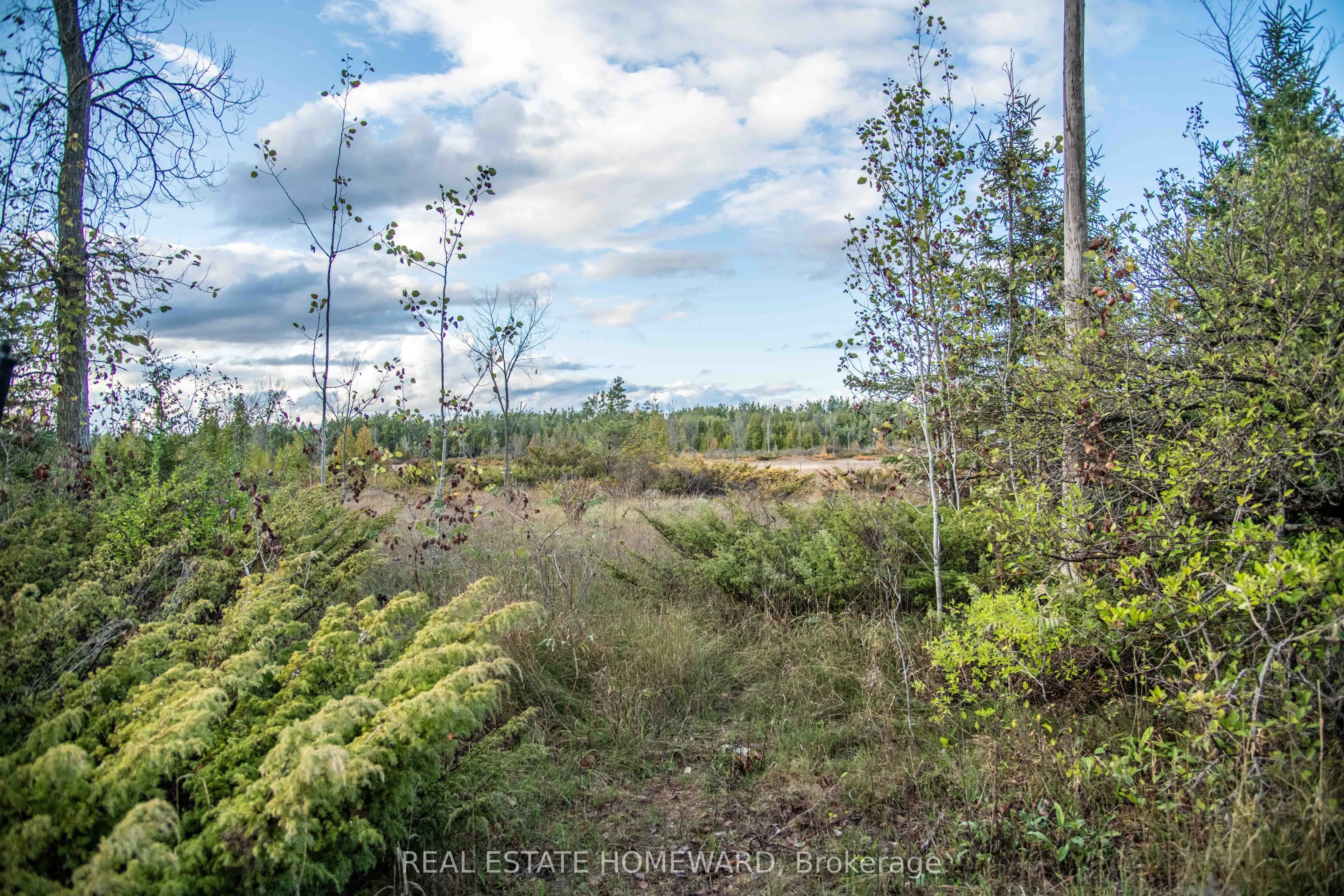 Vacant Land For Sale | X12399282