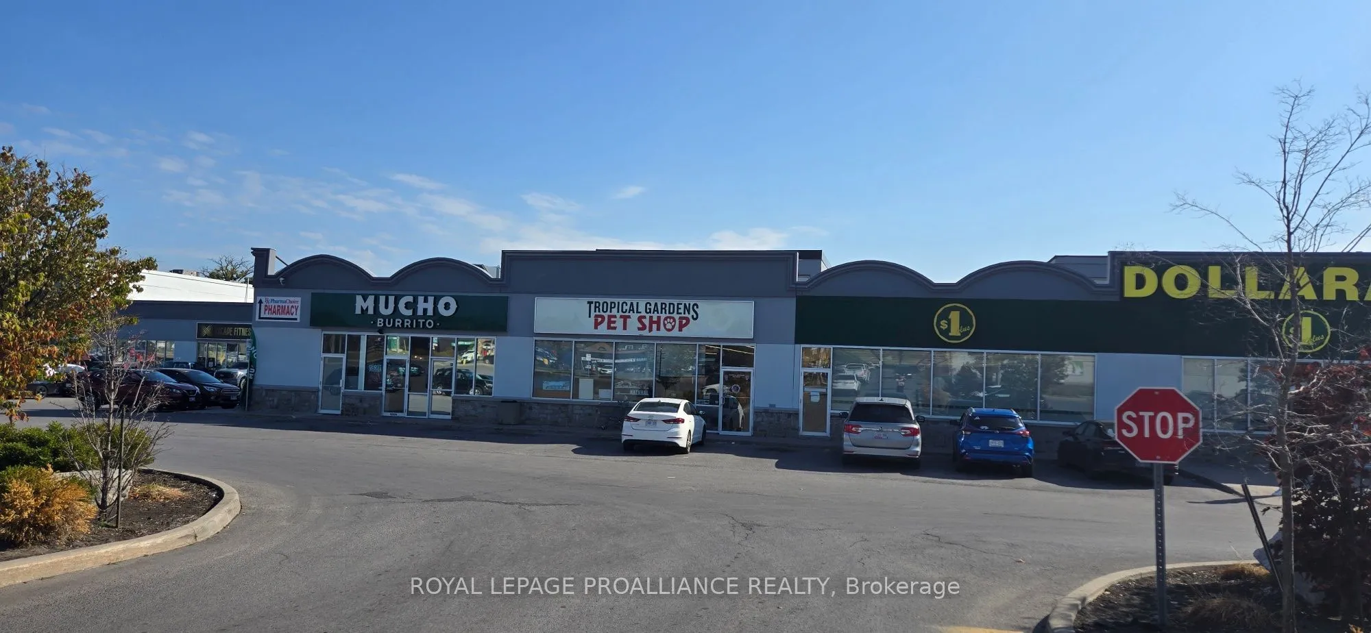 Property For Lease | X12403601