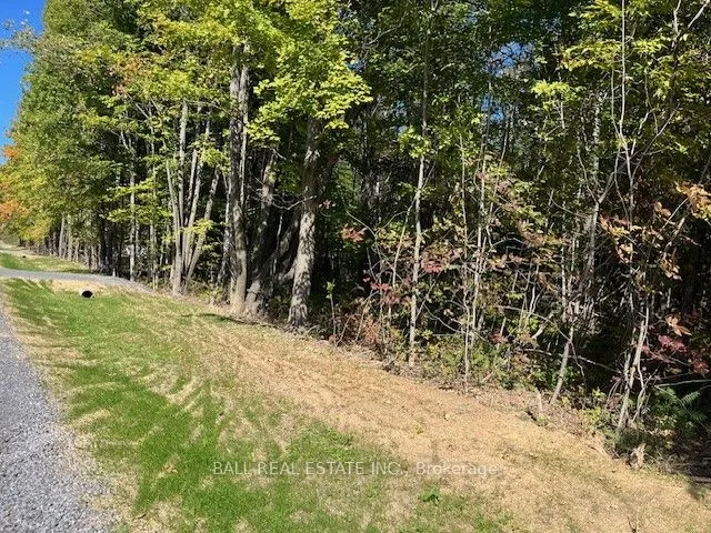 Vacant Land For Sale | X12421354