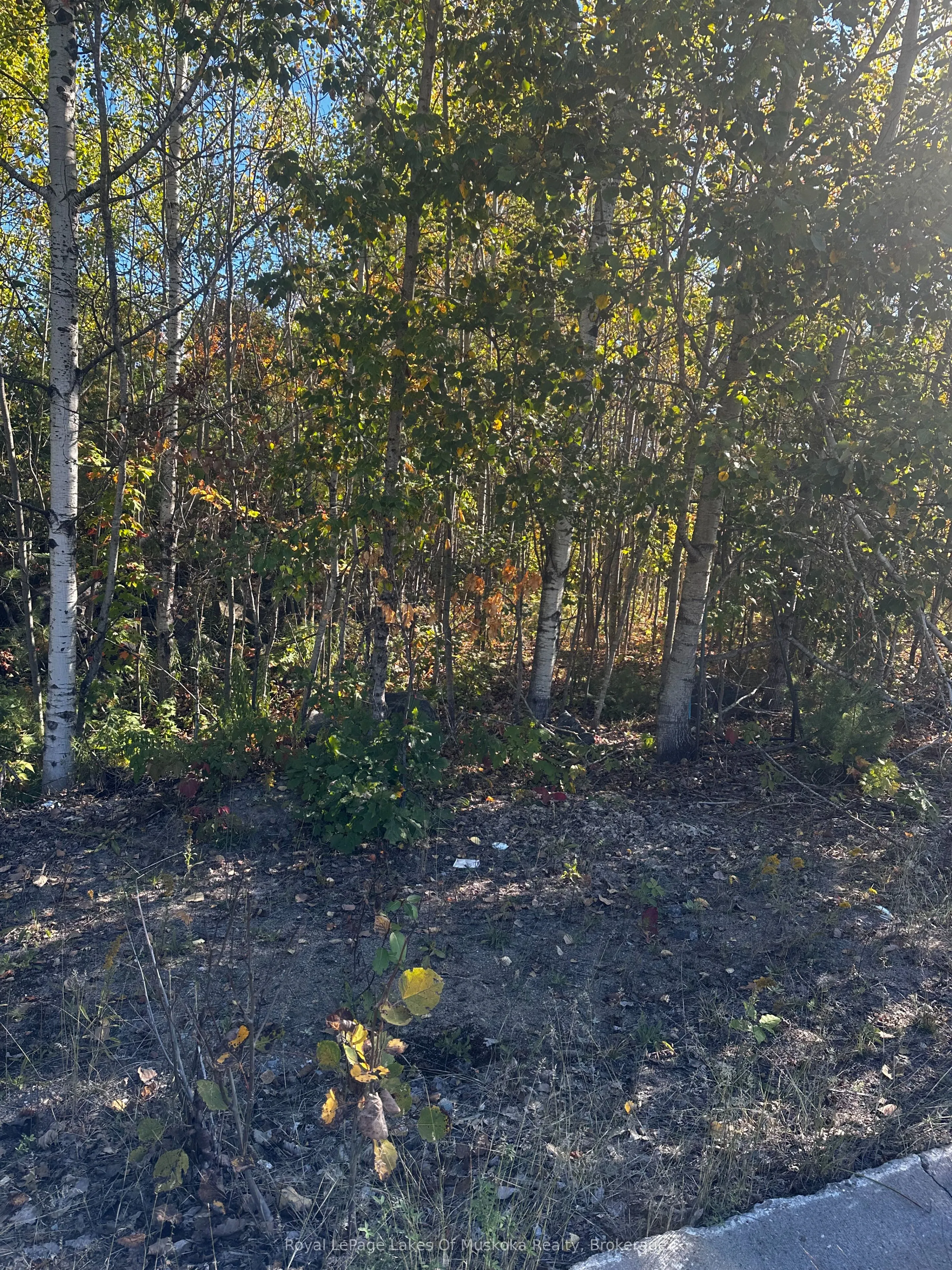 Vacant Land For Sale | X12438149