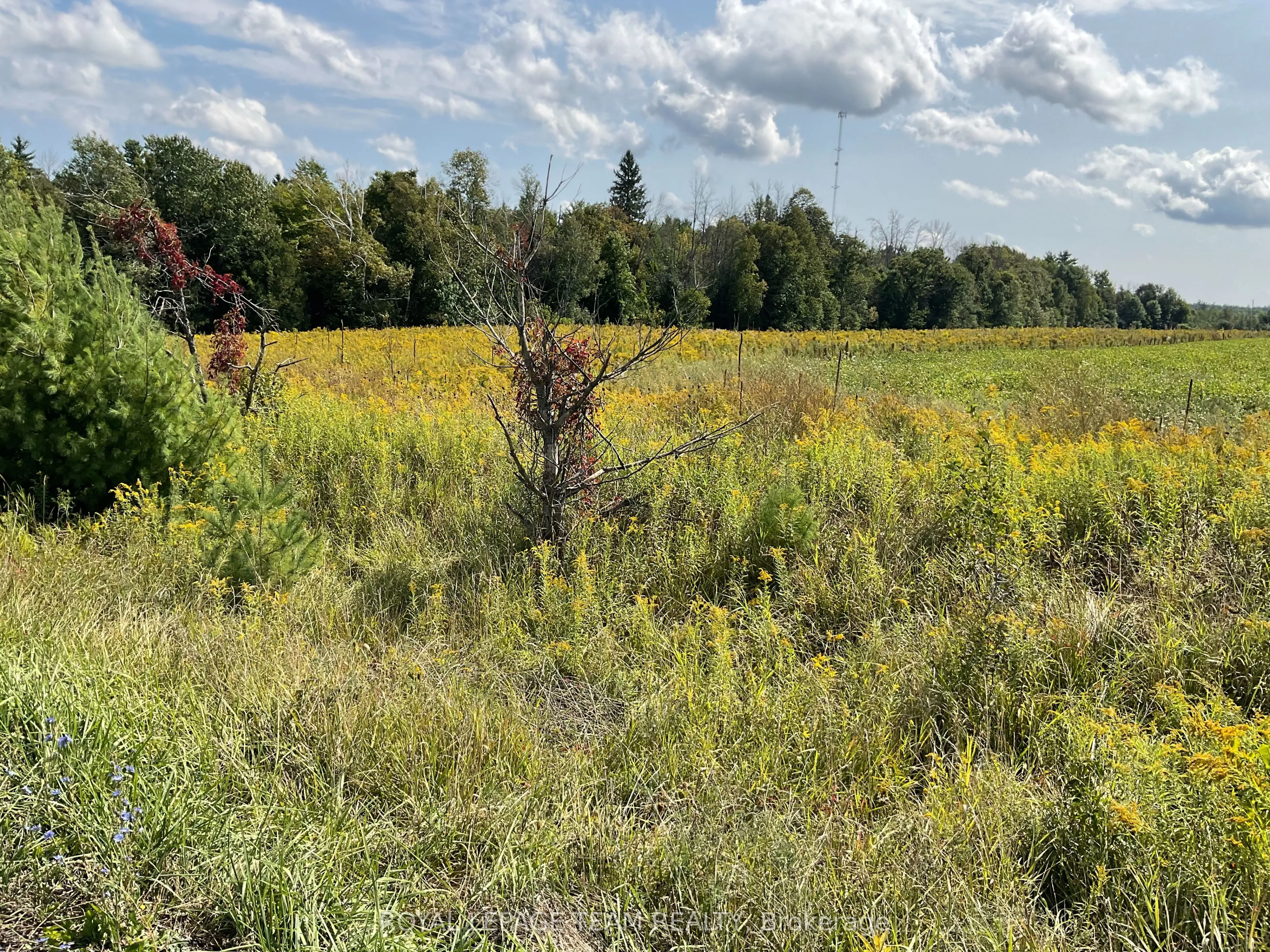 Vacant Land For Sale | X12442080