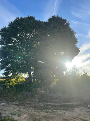 Enjoy the sunrise in your back yard