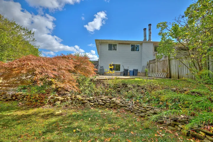 Backyard from the other side of the property