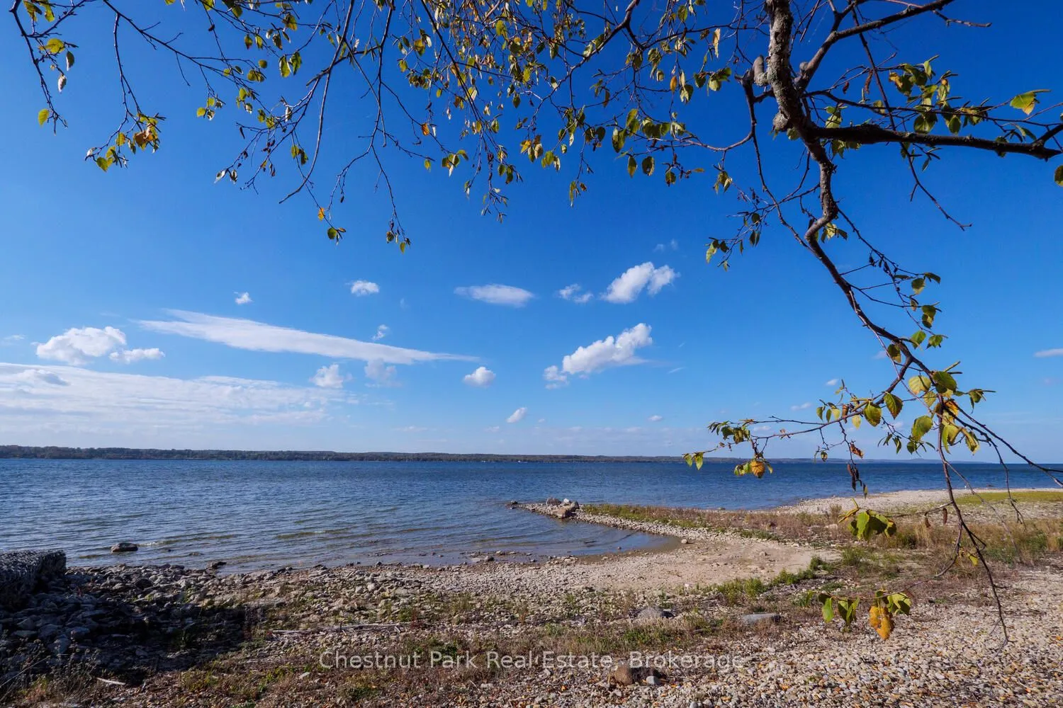 Vacant Land For Sale | X12458358