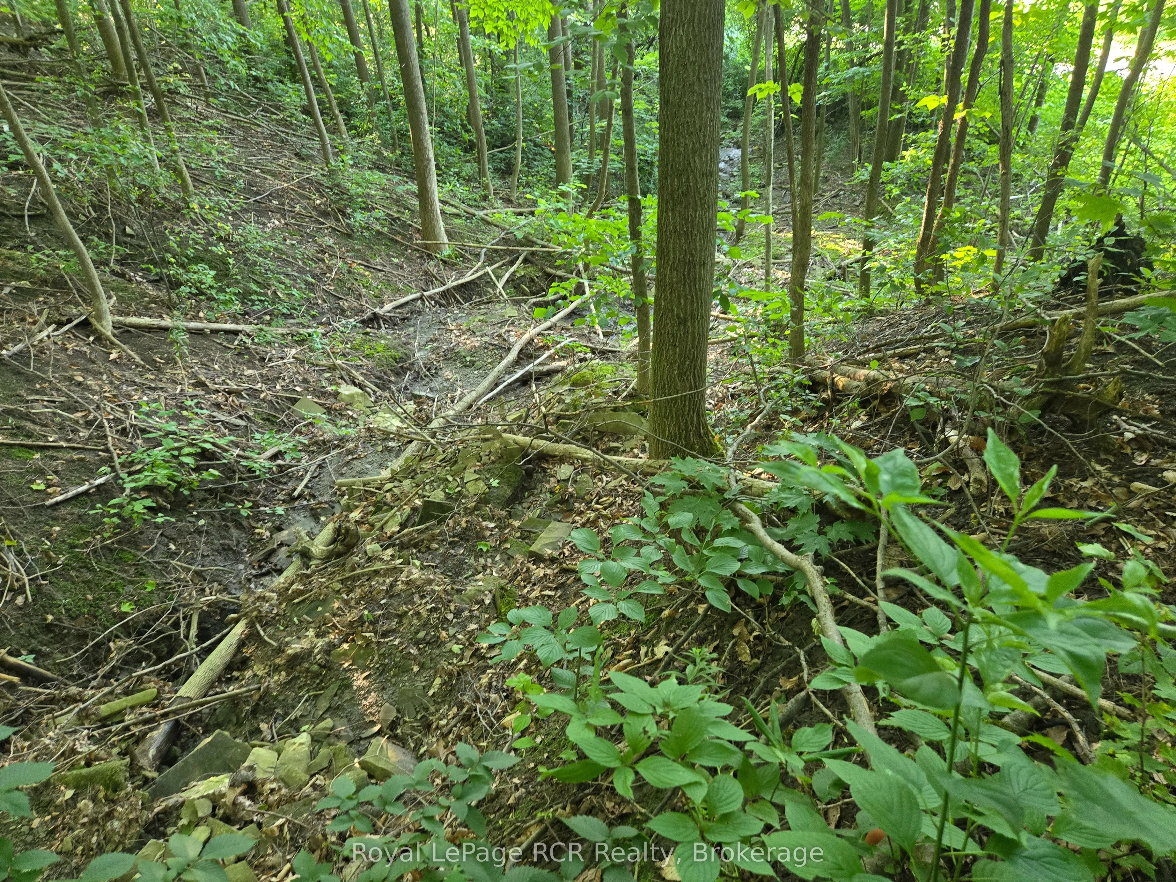 Vacant Land For Sale | X12461821
