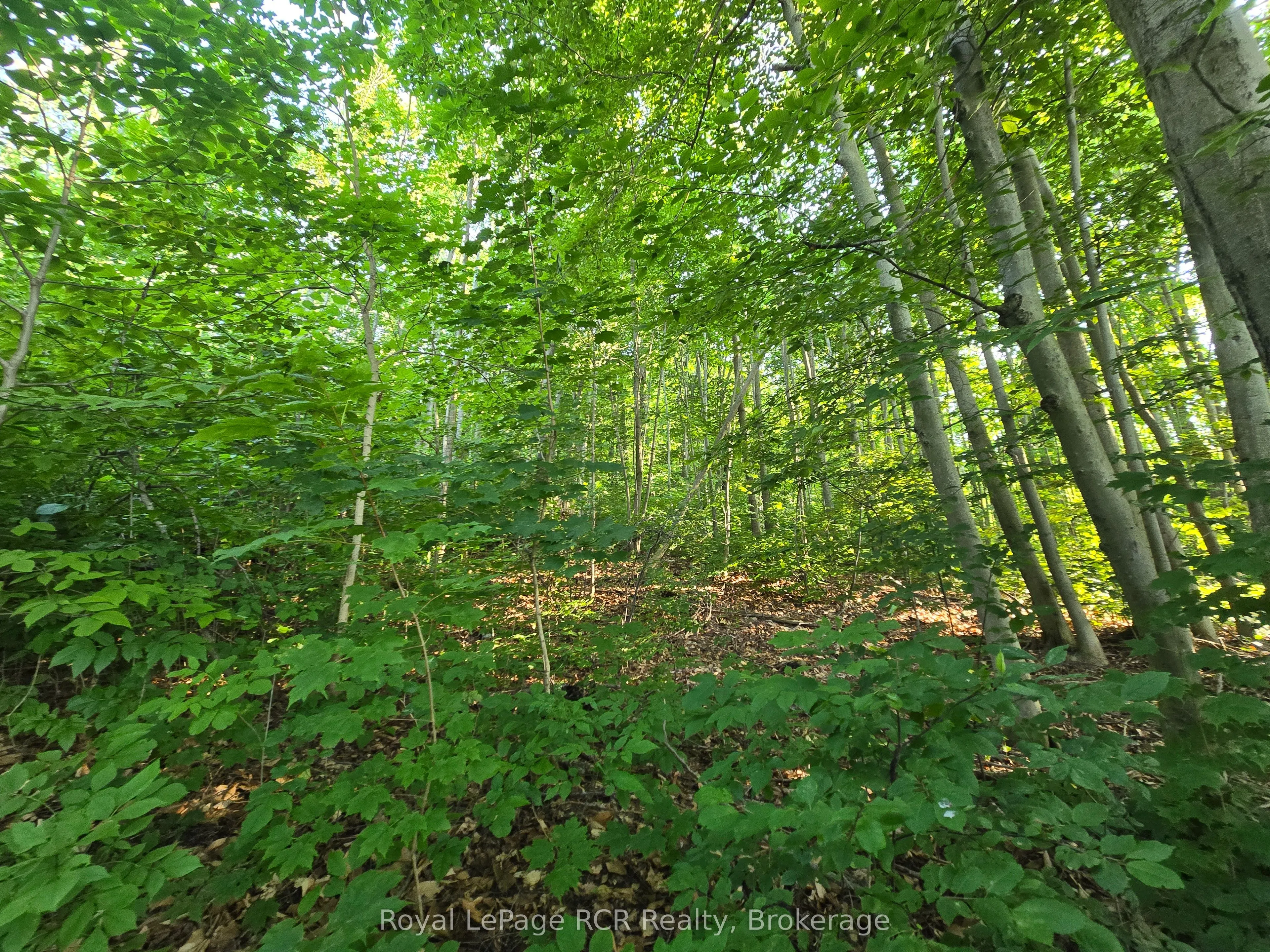 Vacant Land For Sale | X12461899