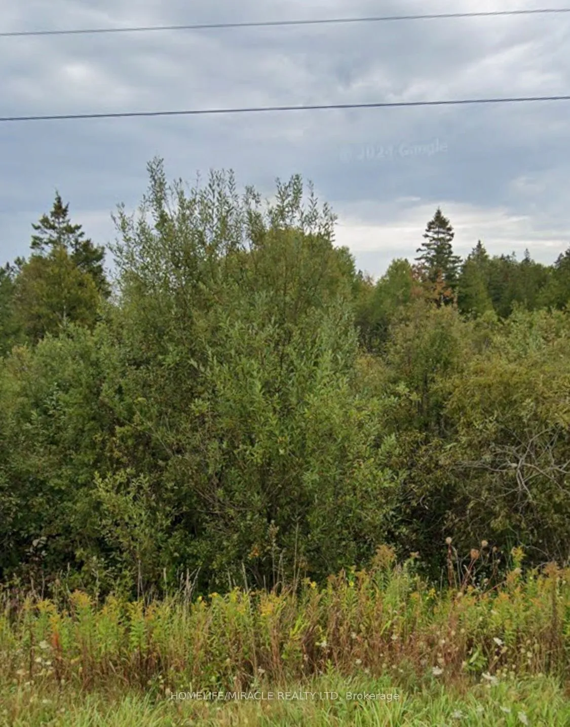 Vacant Land For Sale | X12477752