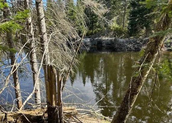 Vacant Land For Sale | X12480191