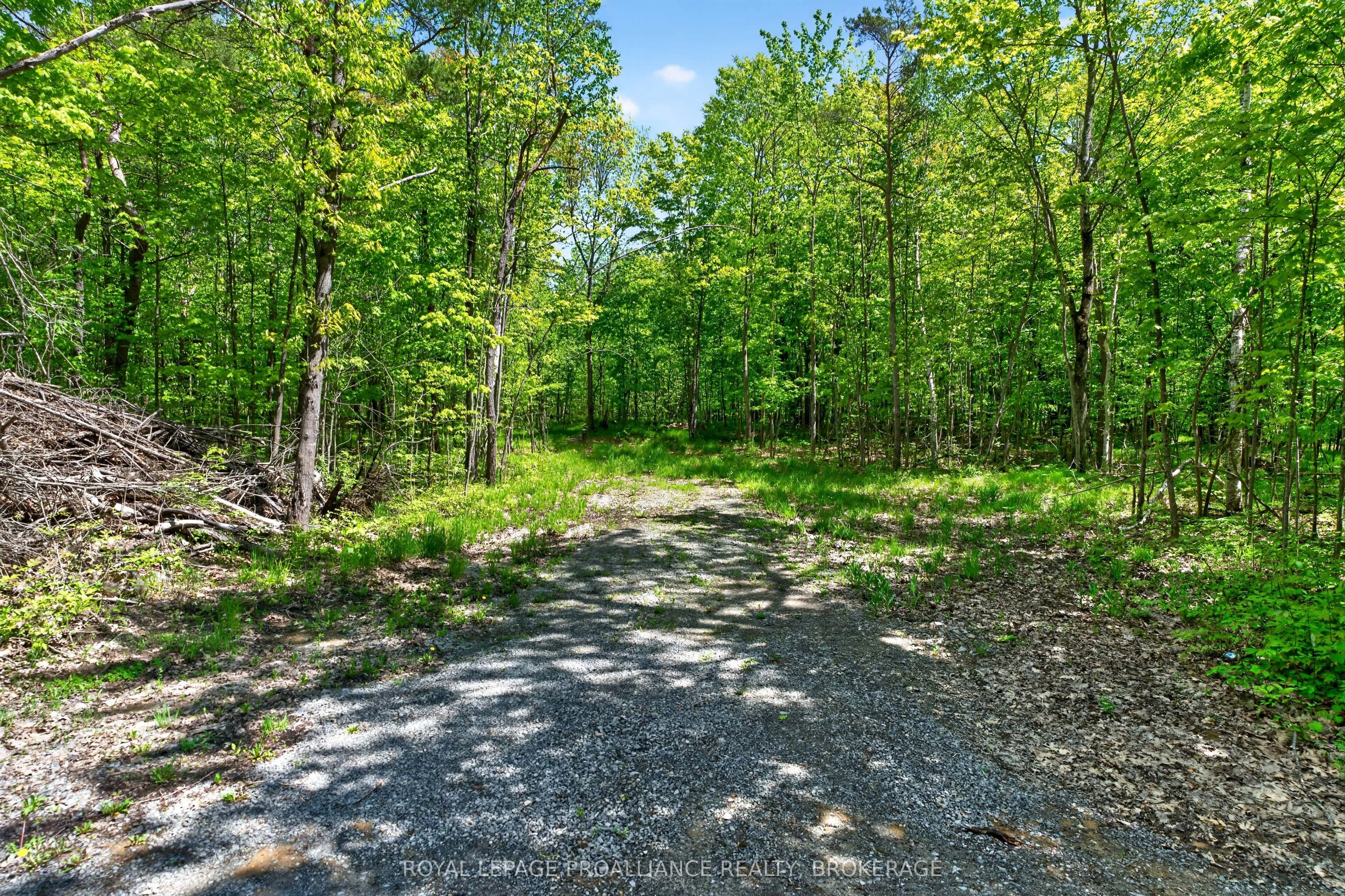 Vacant Land For Sale | X12499646