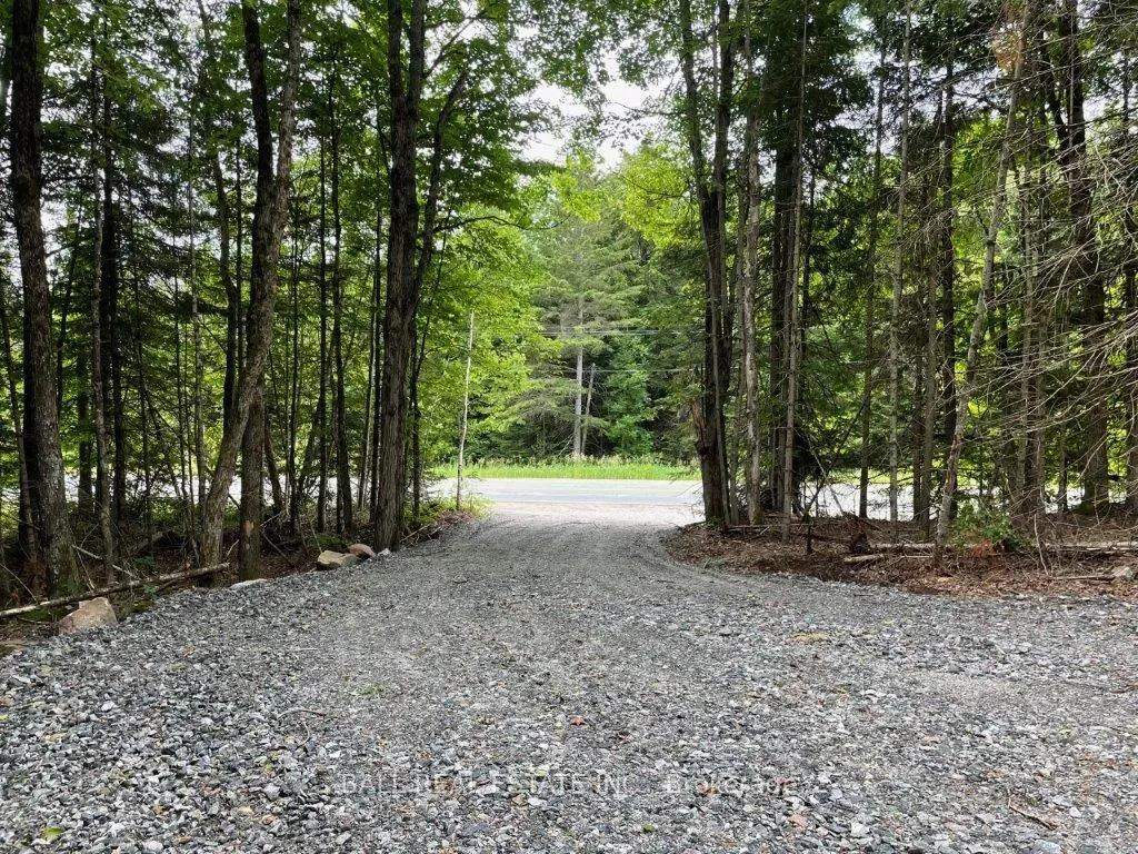 Vacant Land For Sale | X12508922