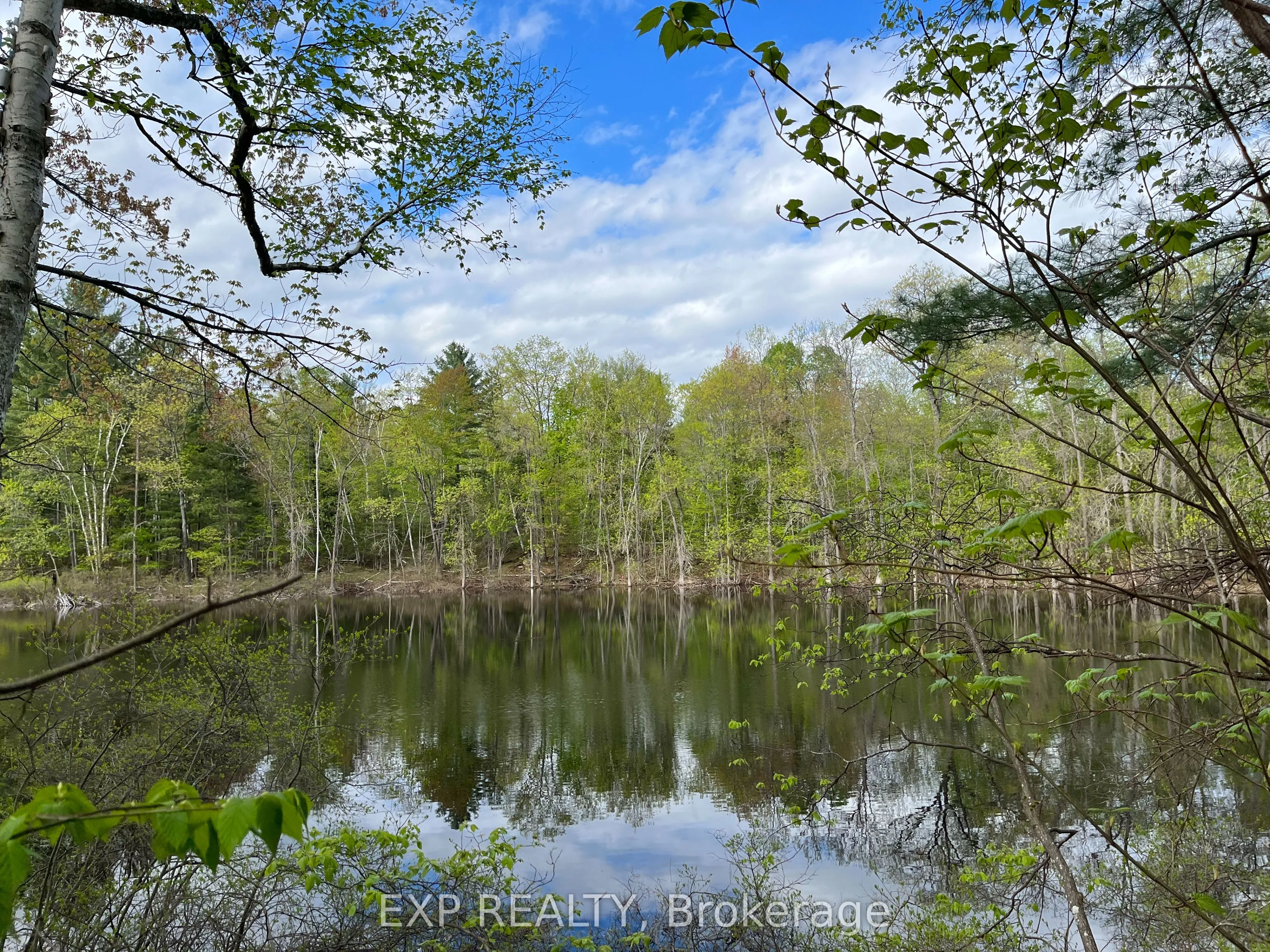 Vacant Land For Sale | X12522734