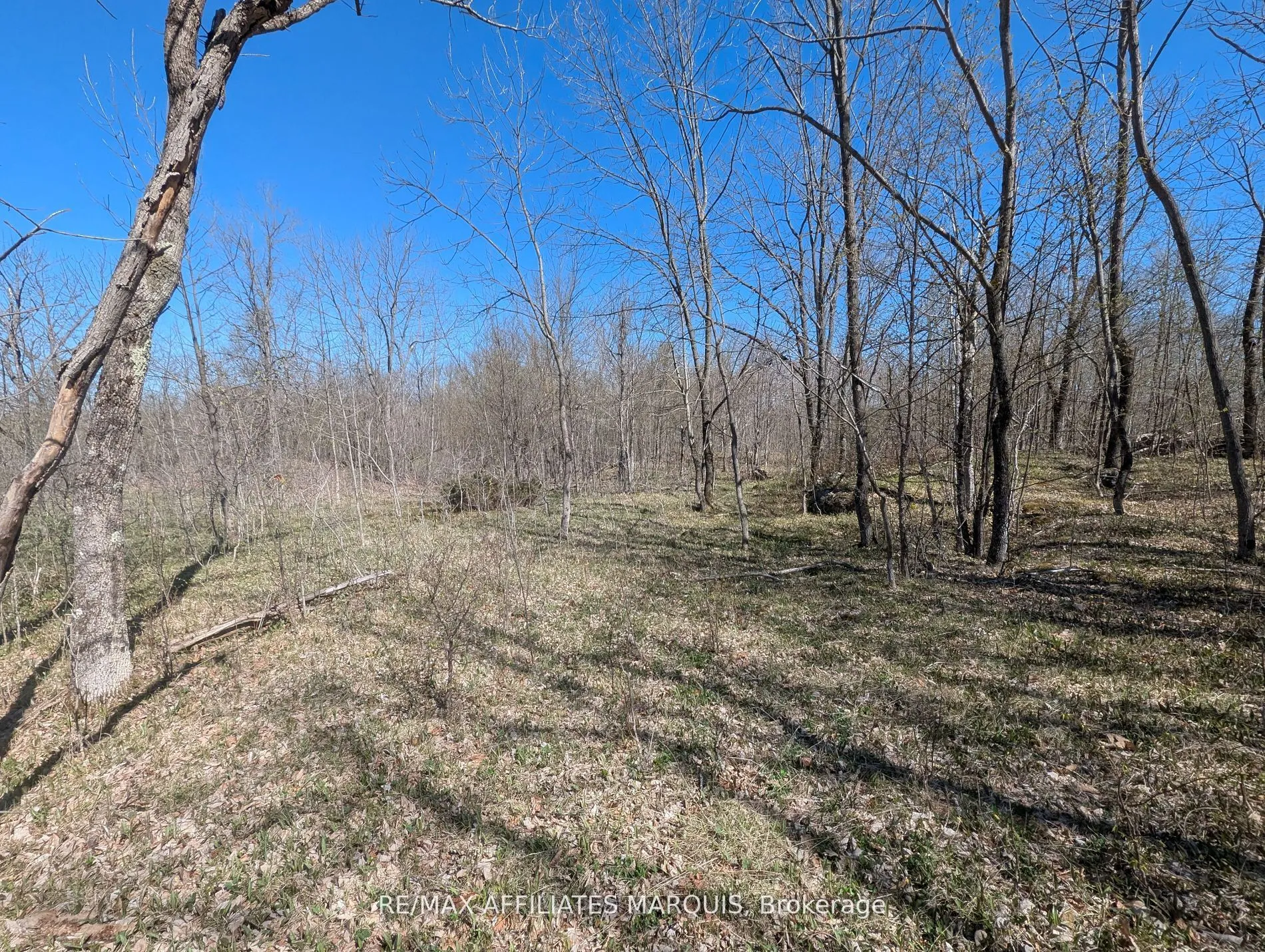 Vacant Land For Sale | X12544026