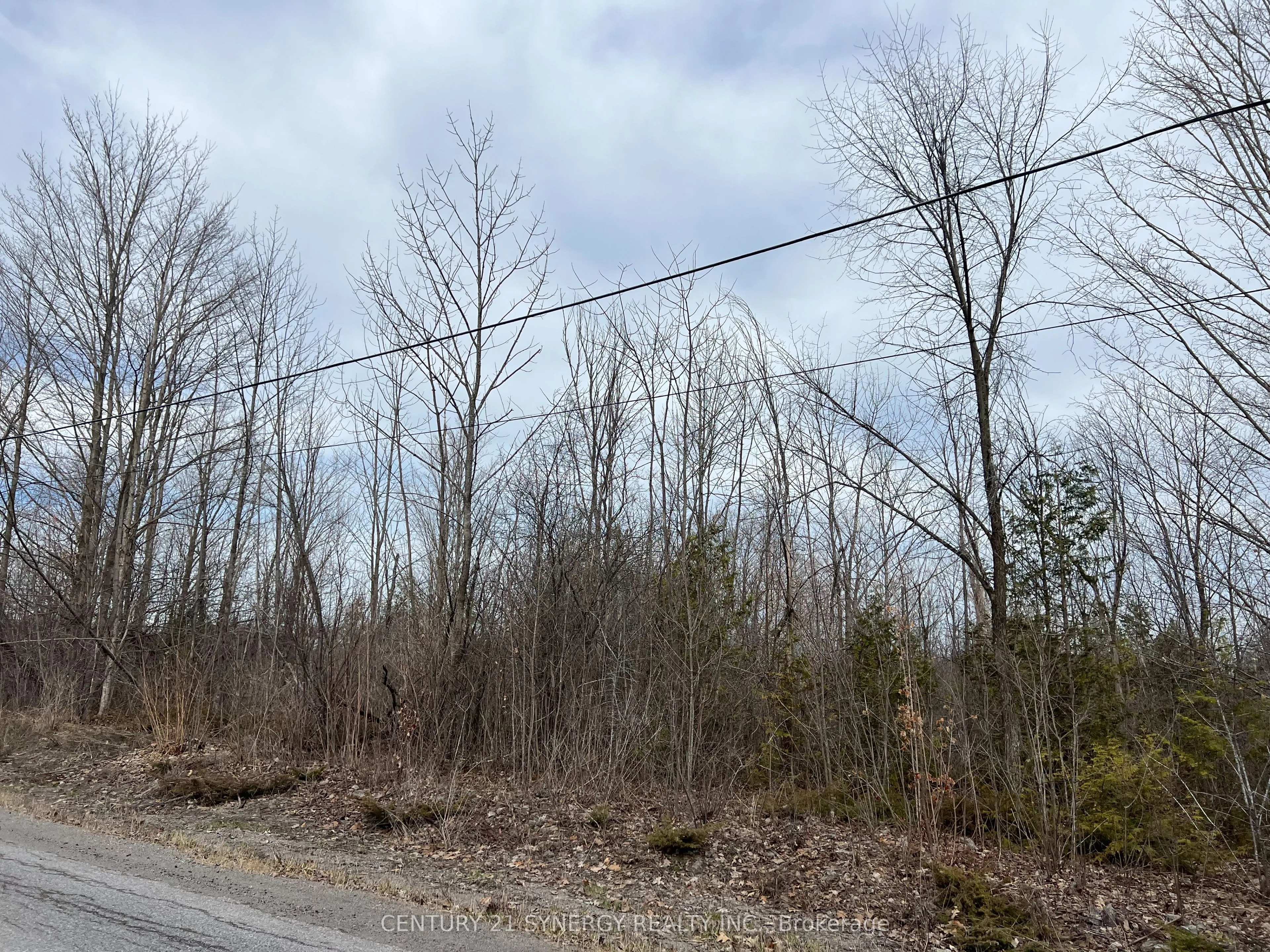 Vacant Land For Sale | X12545610