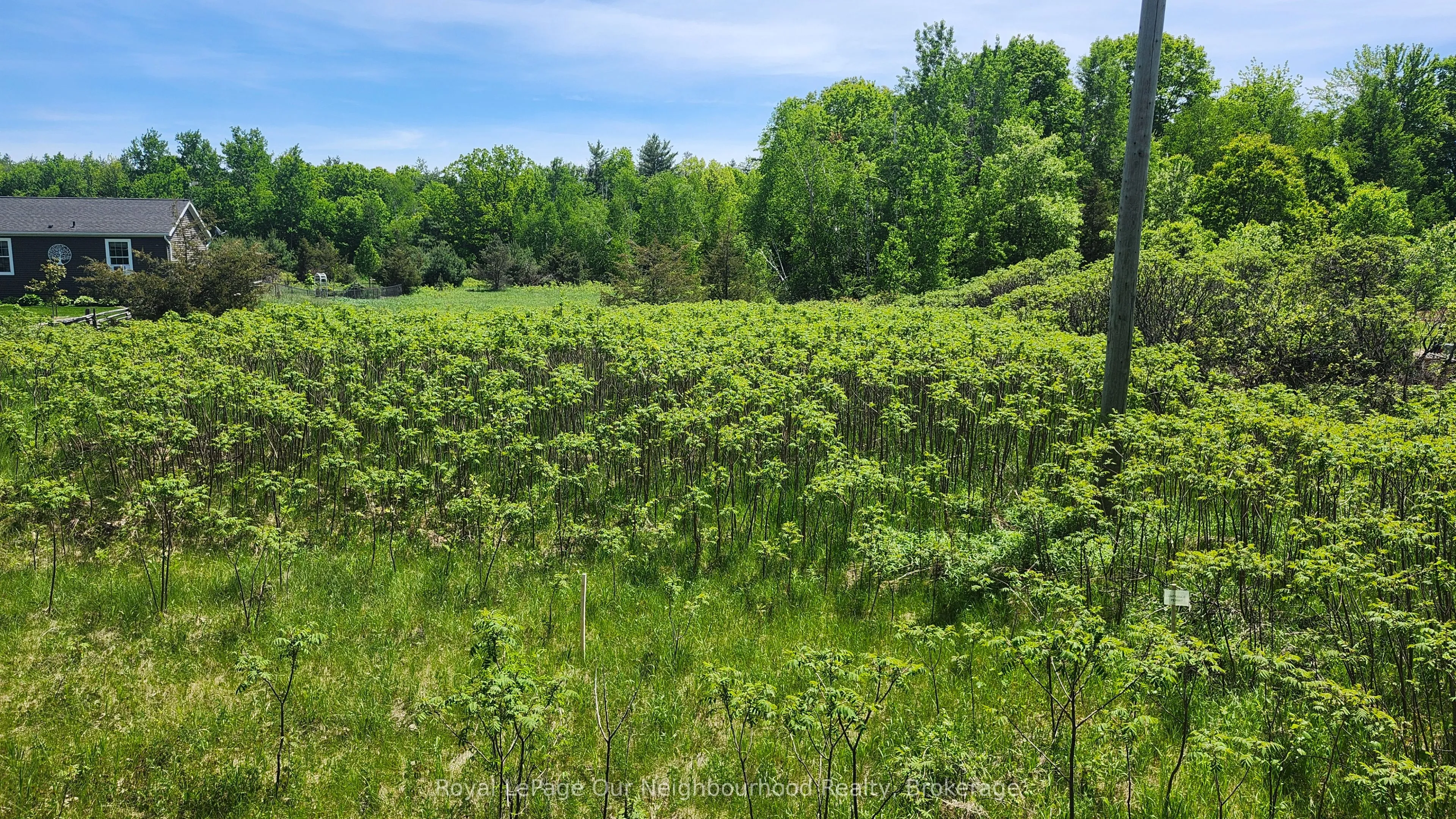 Vacant Land For Sale | X12549124