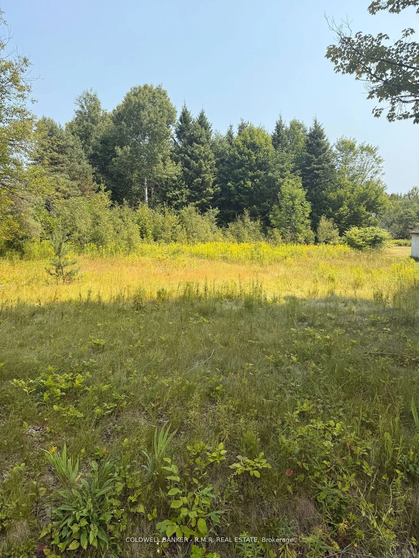 Vacant Land For Sale | X12550378