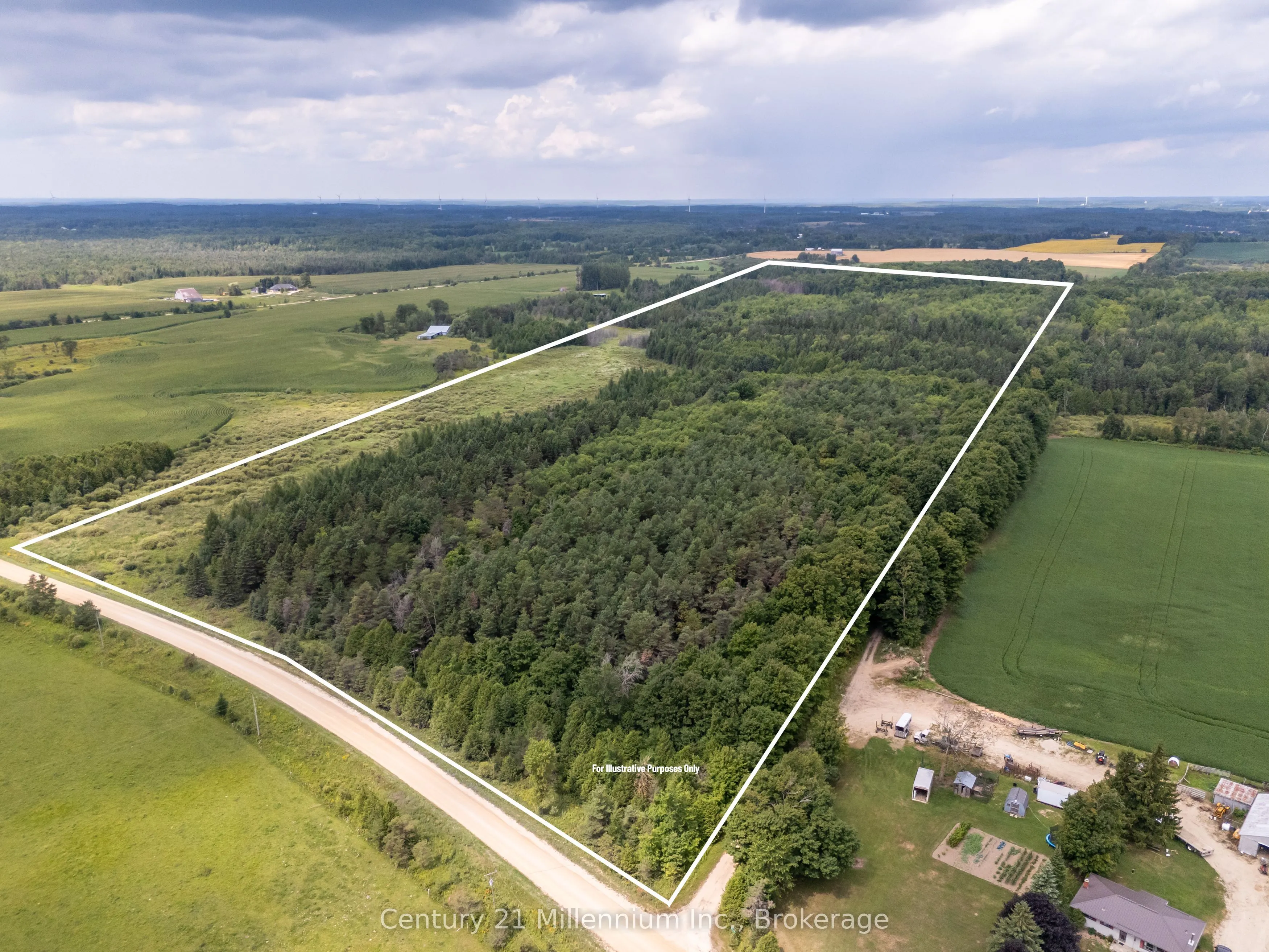 Link Property For Sale | X12551458