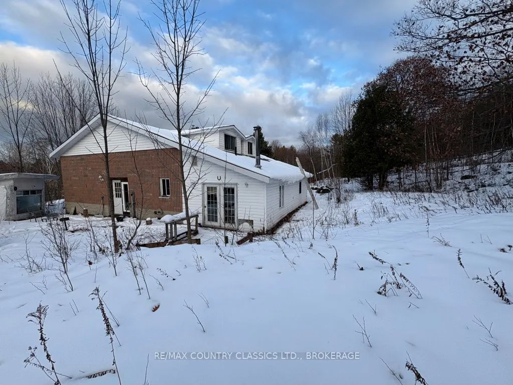 Detached Home For Sale | X12554302