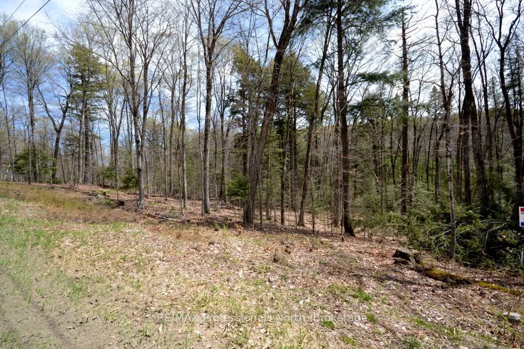 Vacant Land For Sale | X12556308