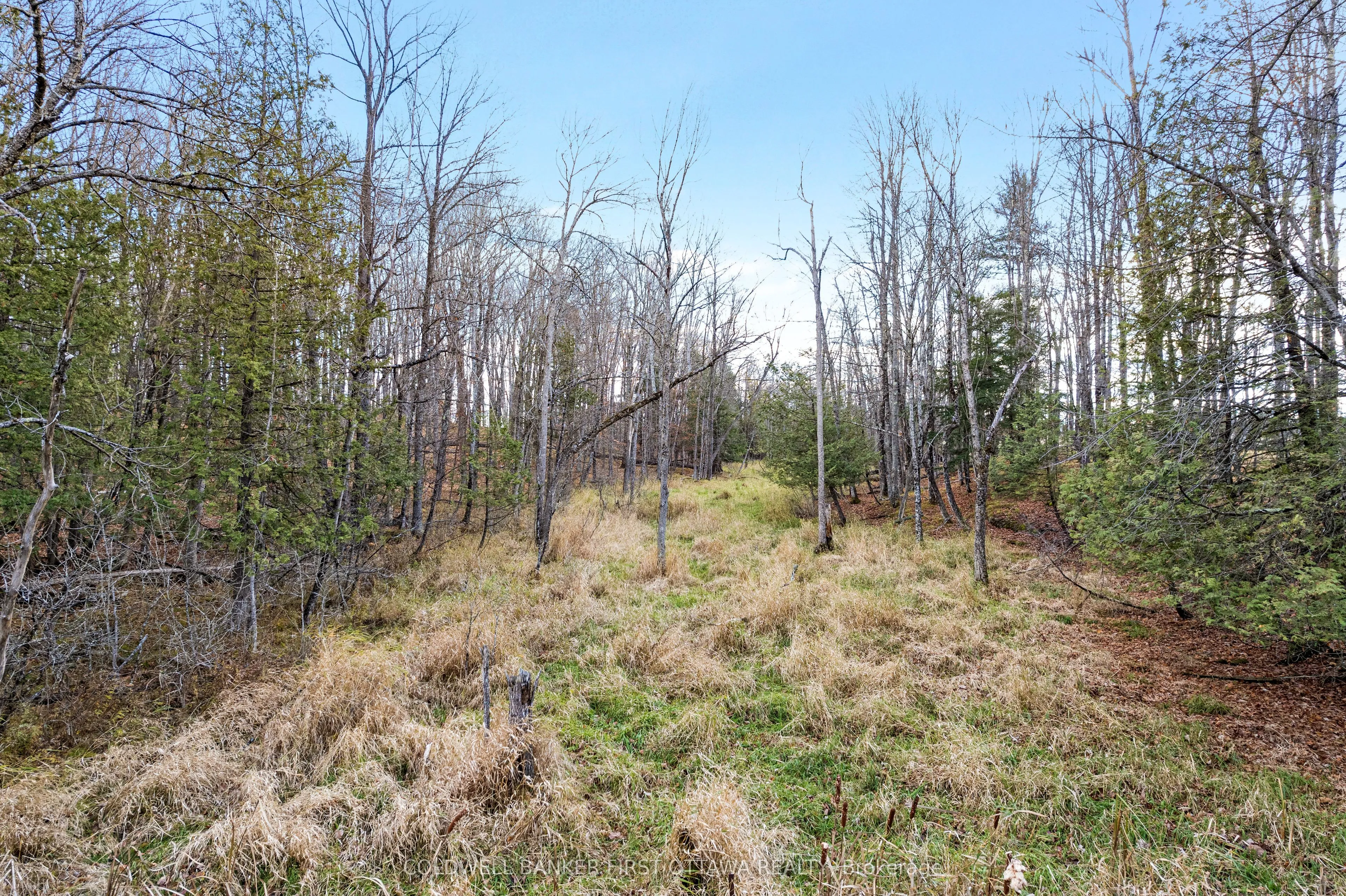 Vacant Land For Sale | X12589340
