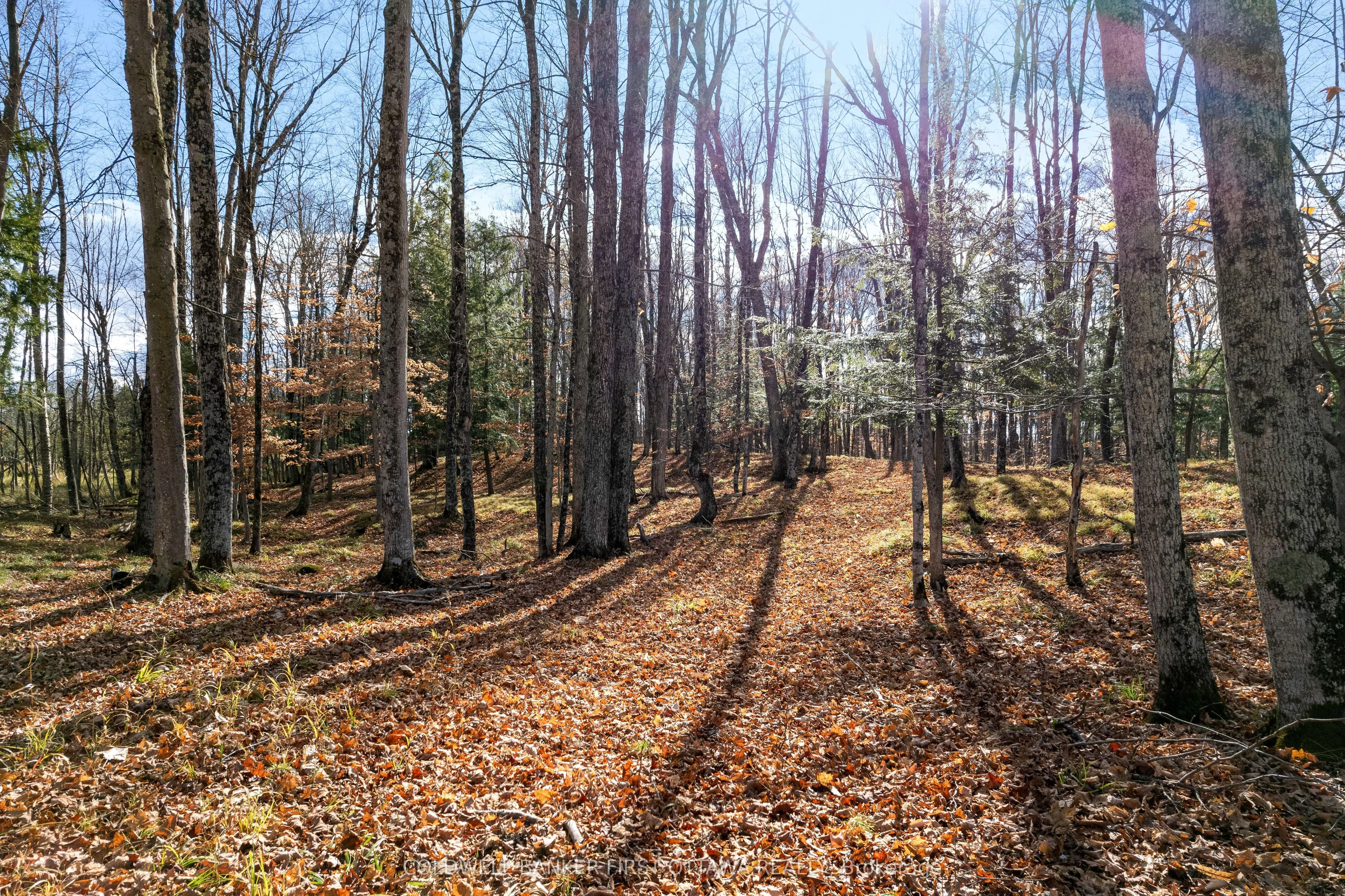 Vacant Land For Sale | X12589372
